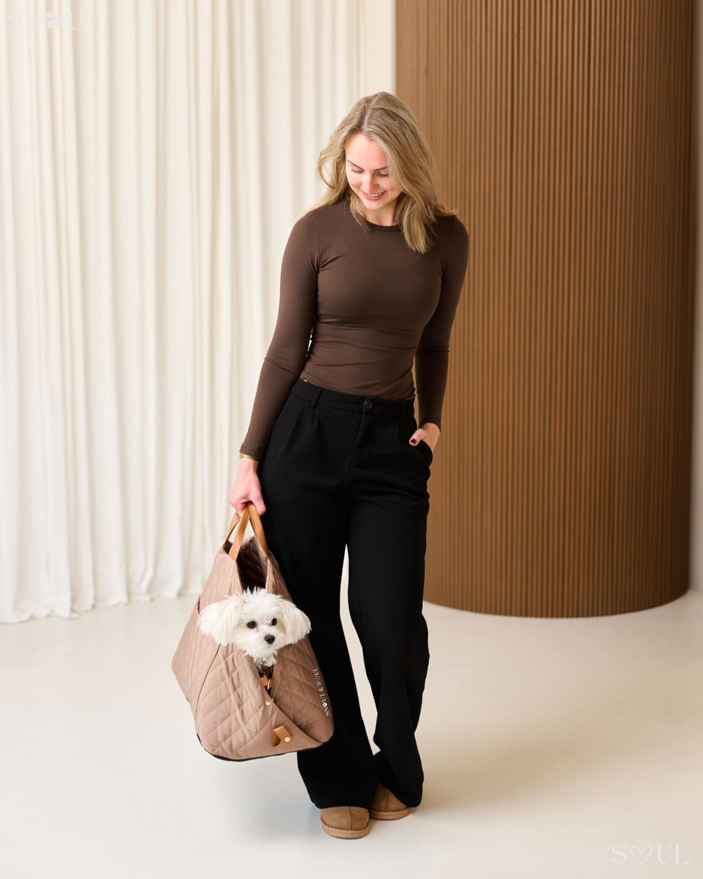 2-in-1 dog carrier for small dogs