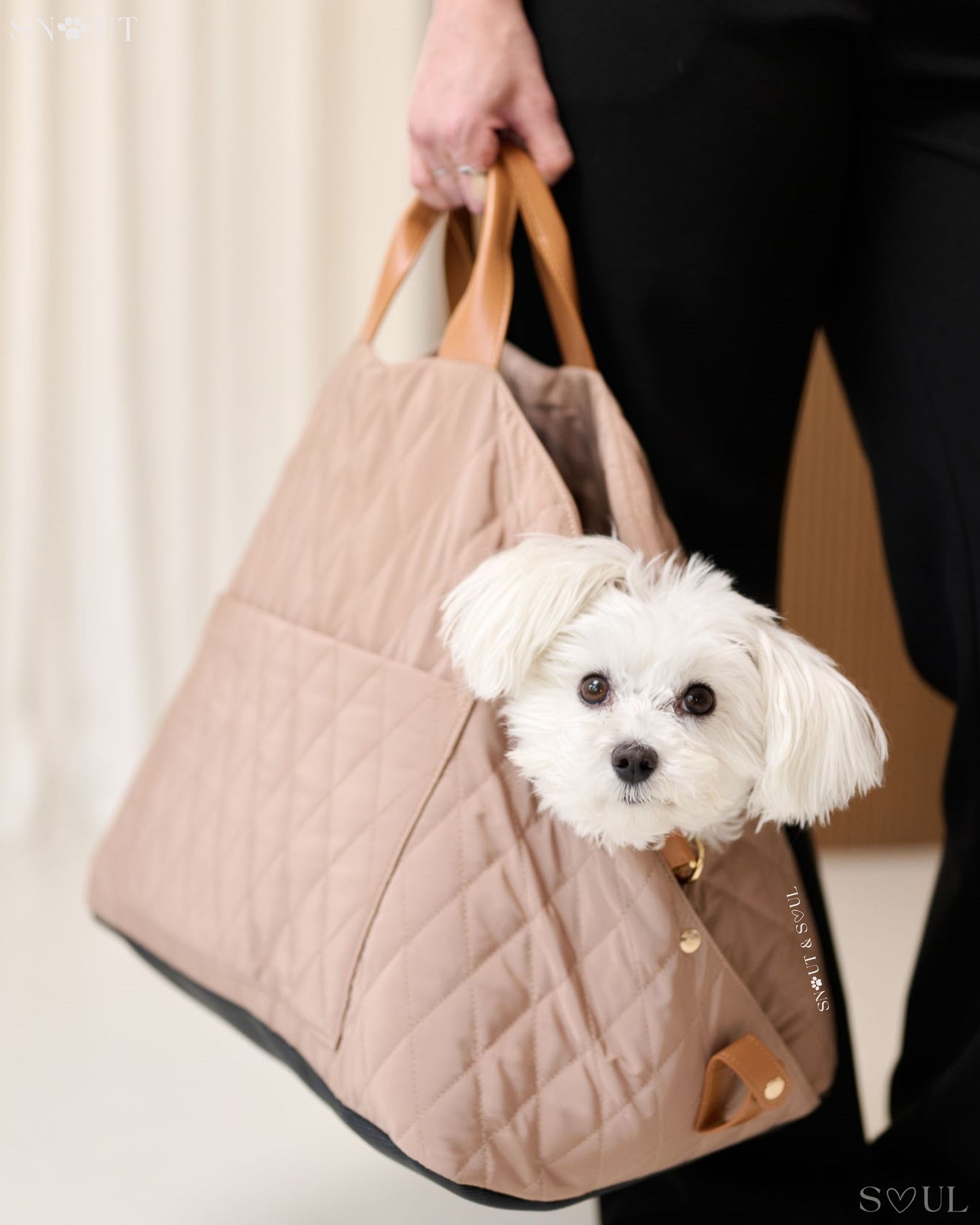 2-in-1 Honden Draagtas