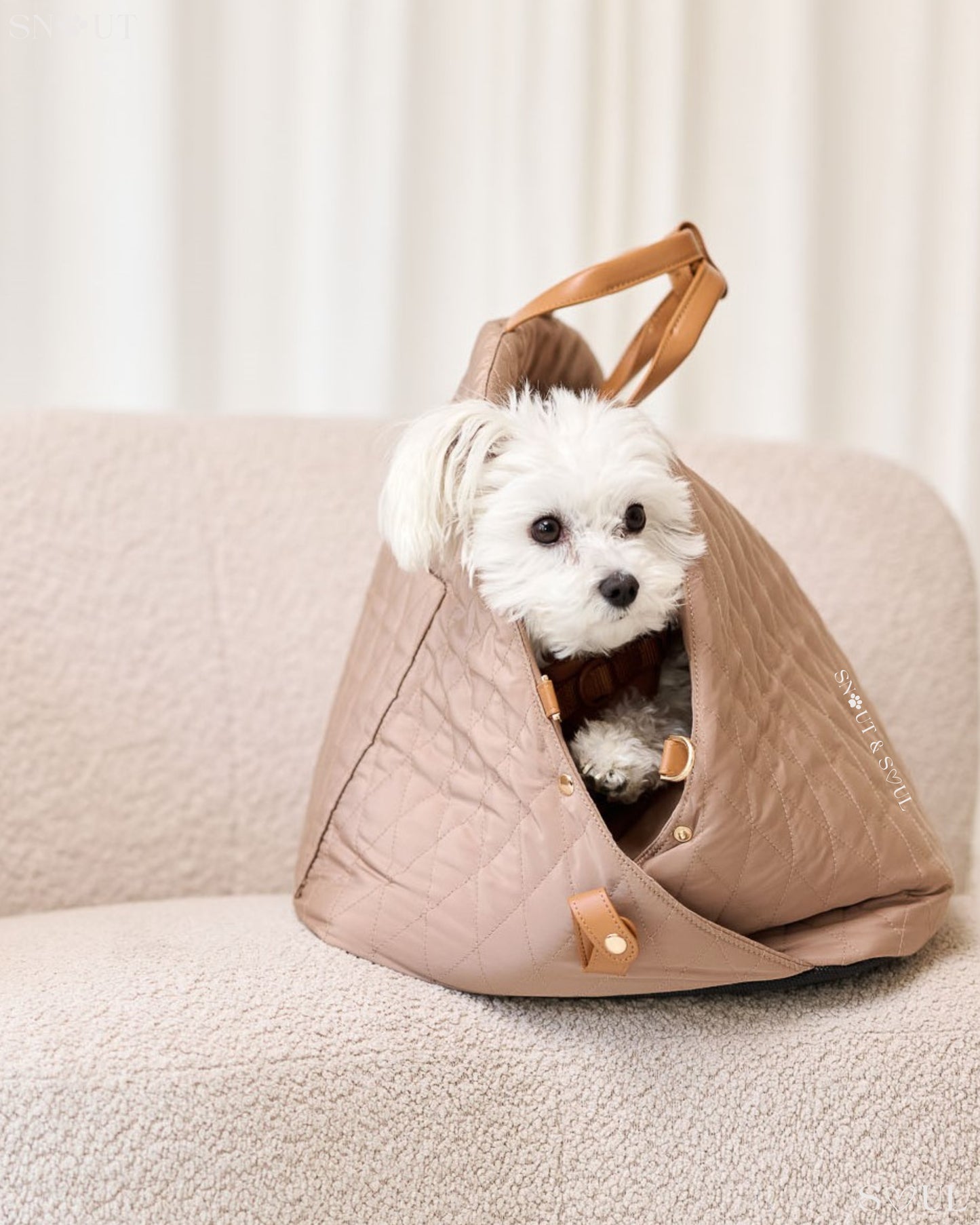 2-in-1 Honden Draagtas