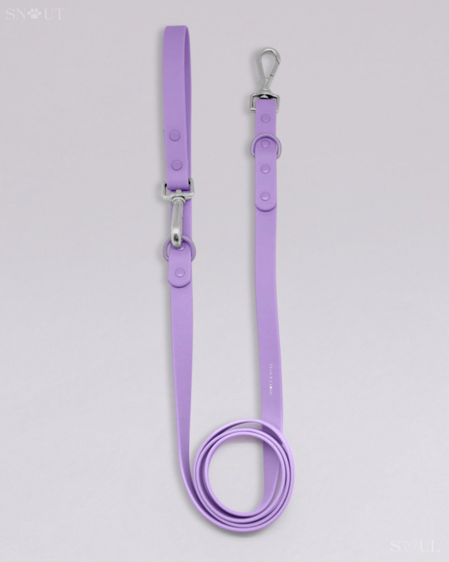 Leash