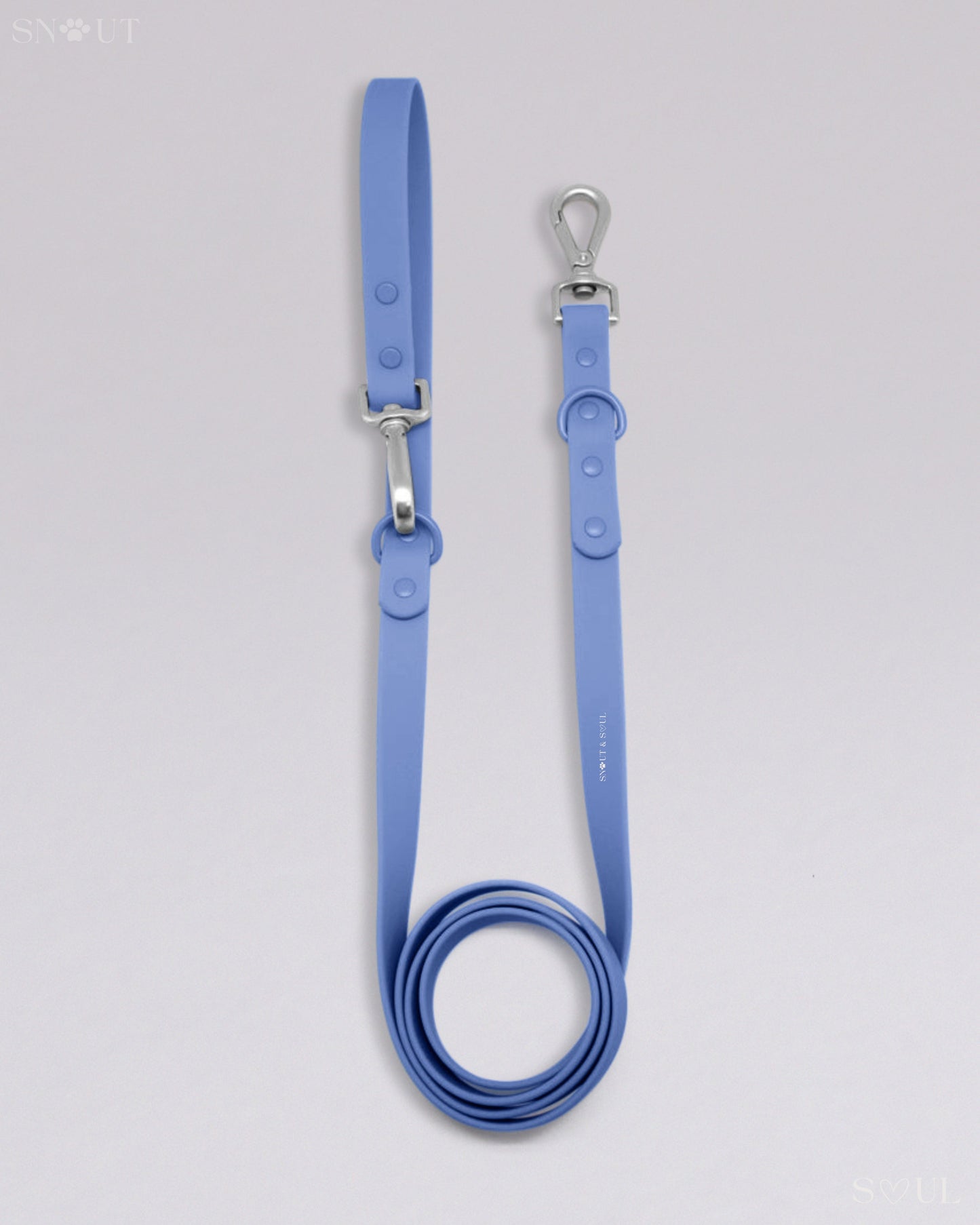 Leash