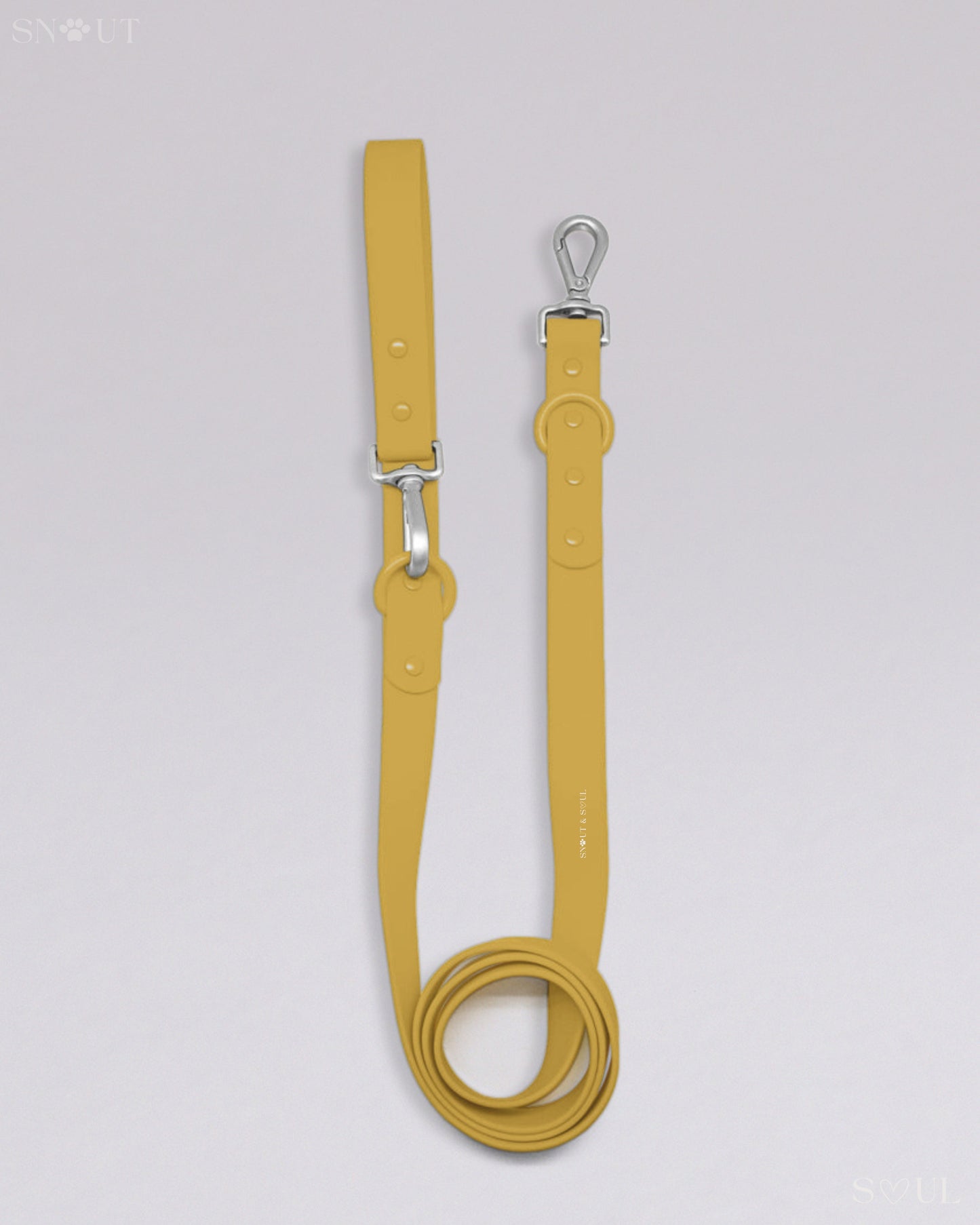 Leash