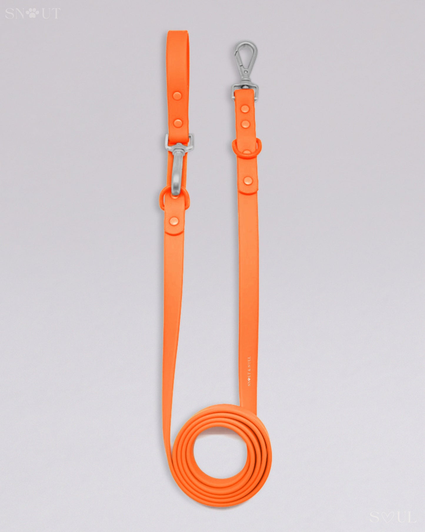 Leash