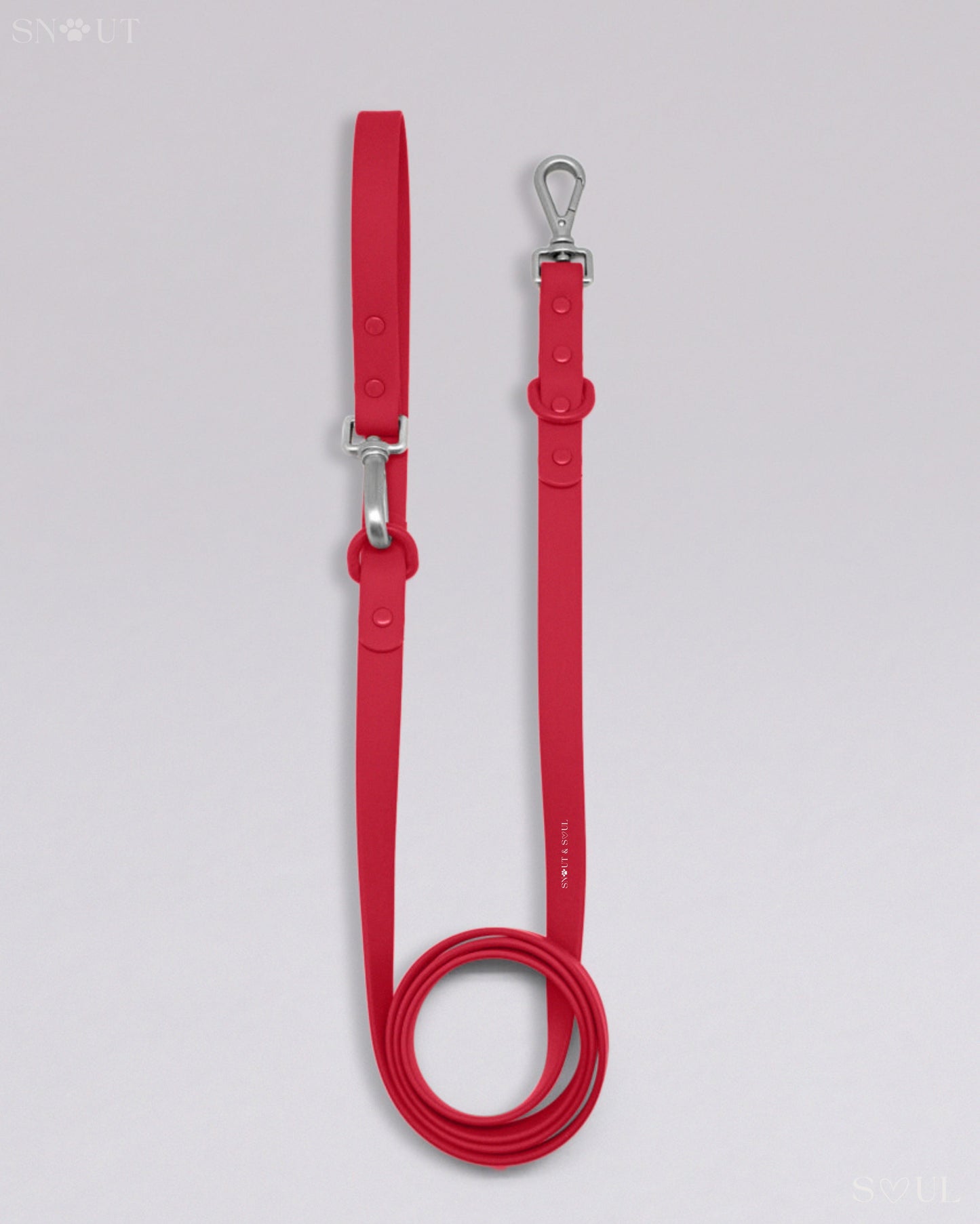 Leash