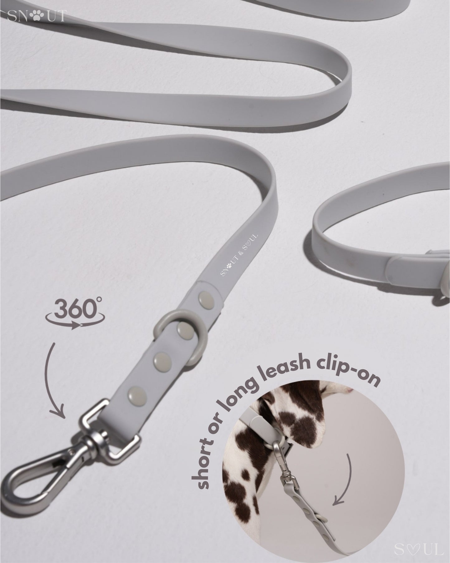 Leash