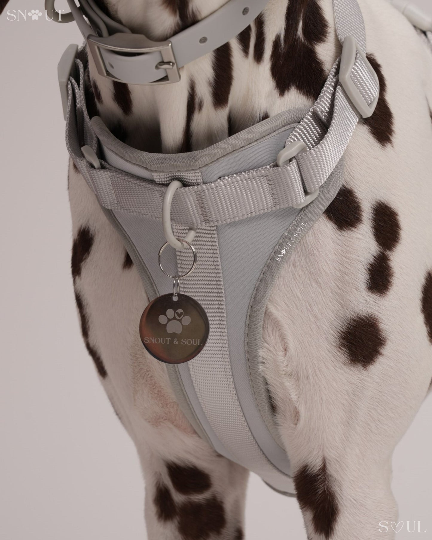 Harness
