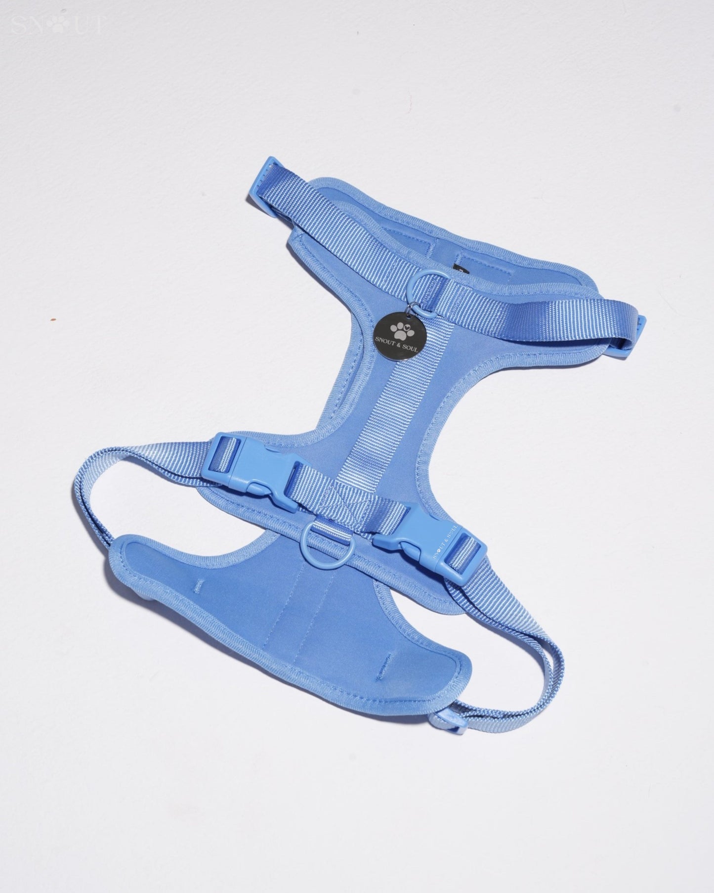 Harness