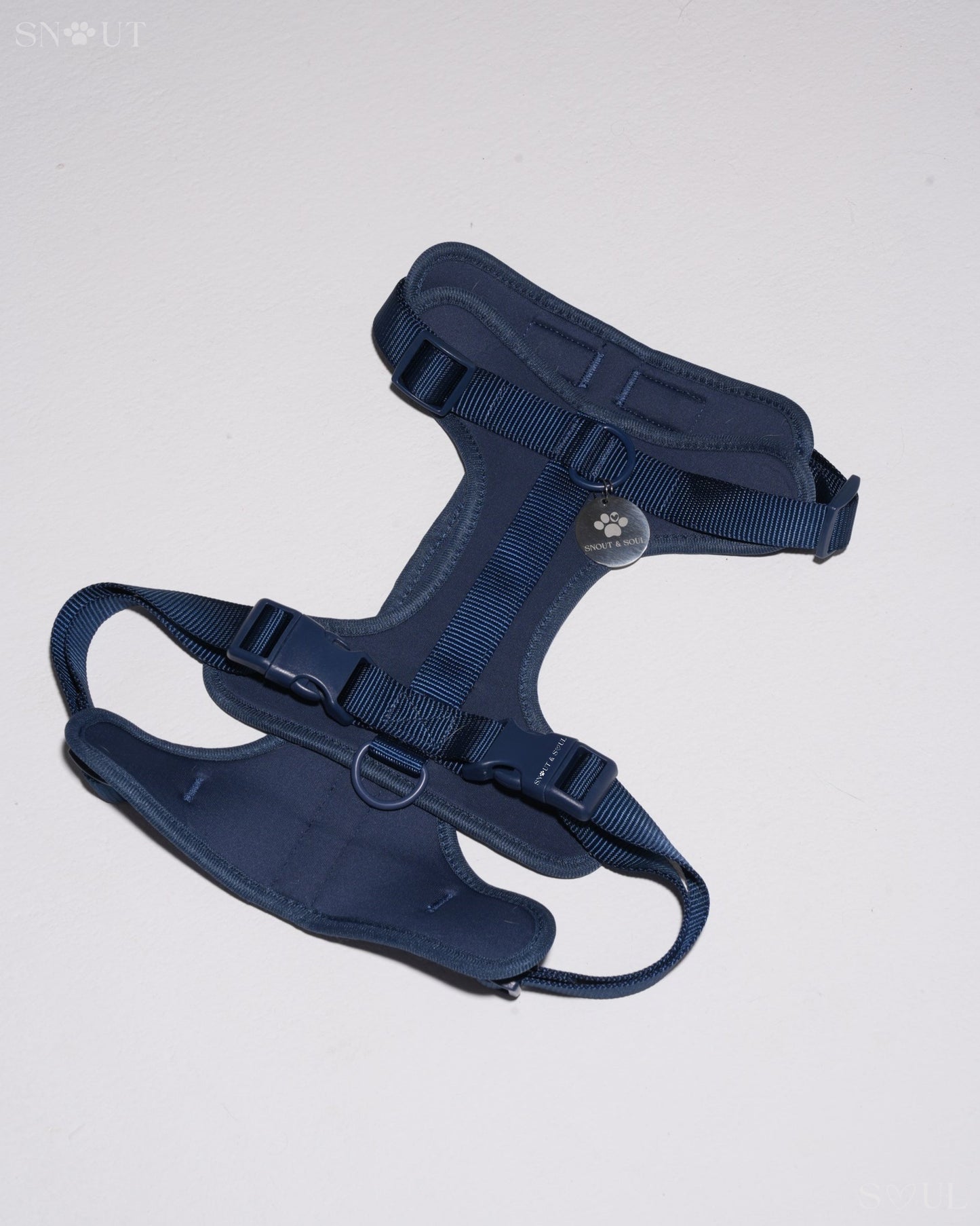 Harness