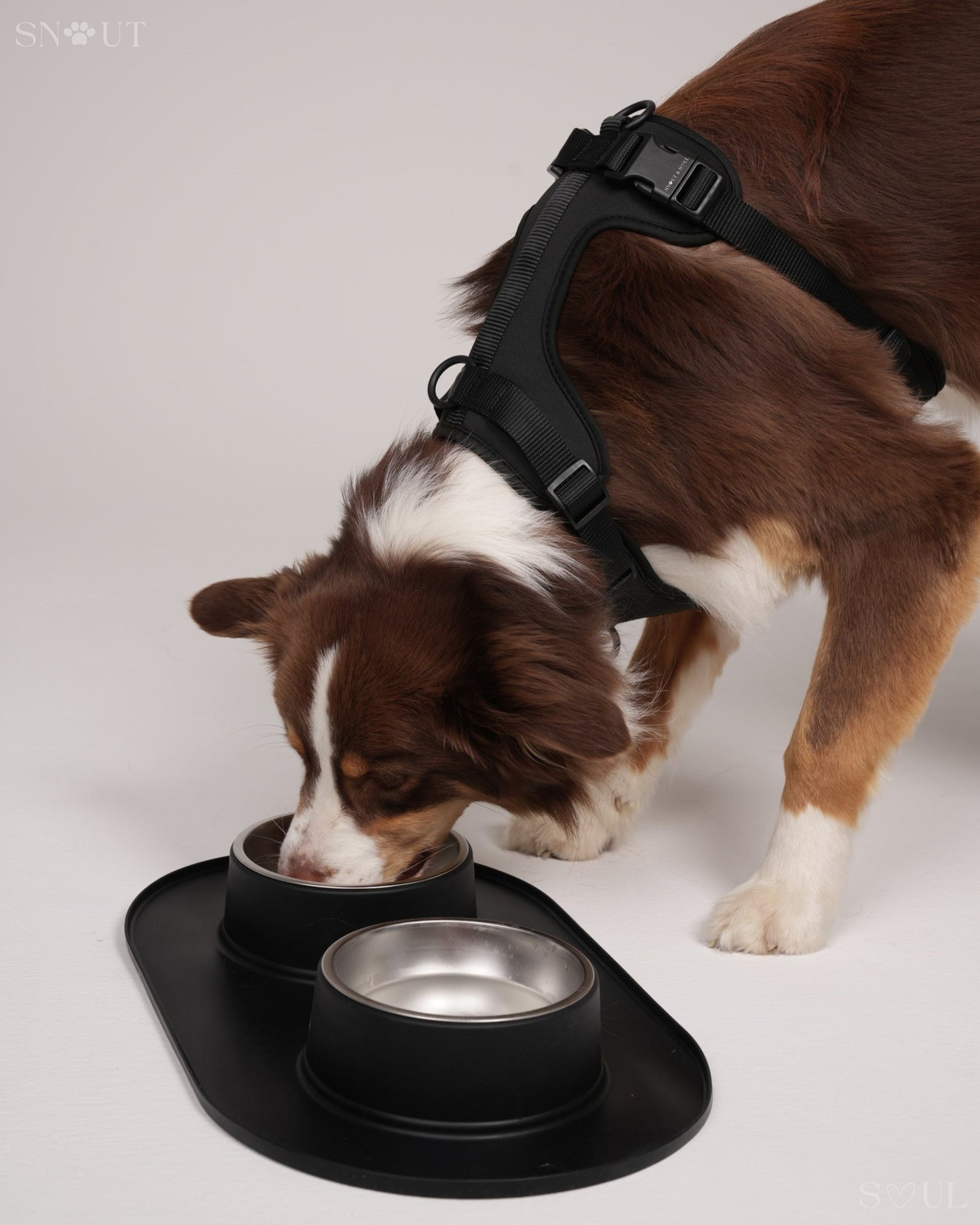 Harness