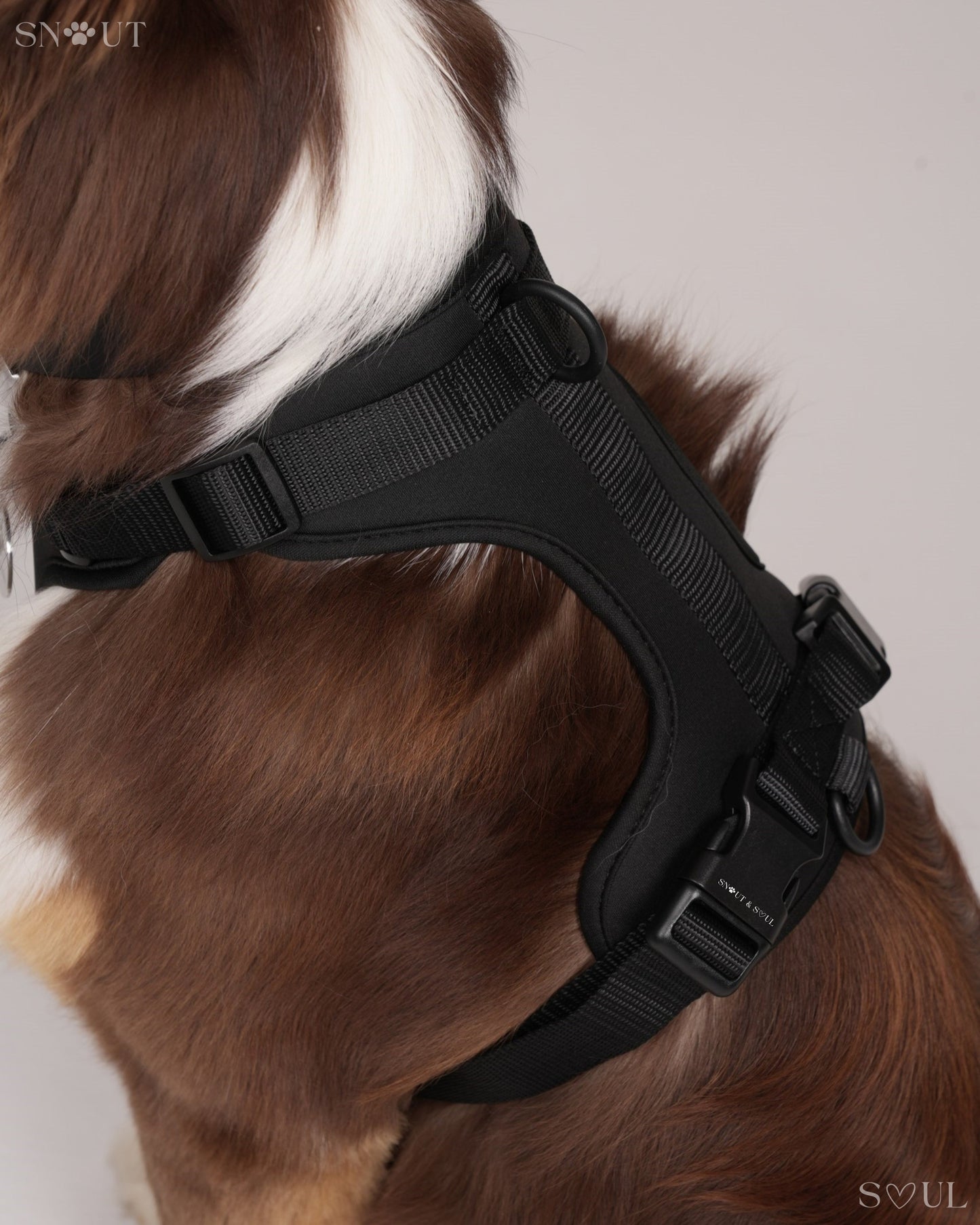 Harness