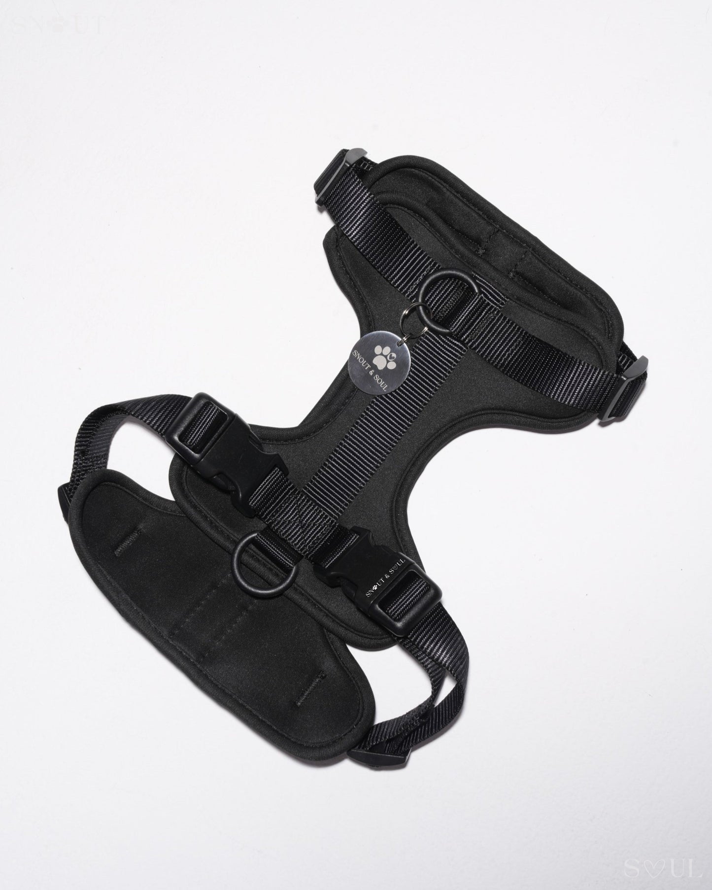 Harness