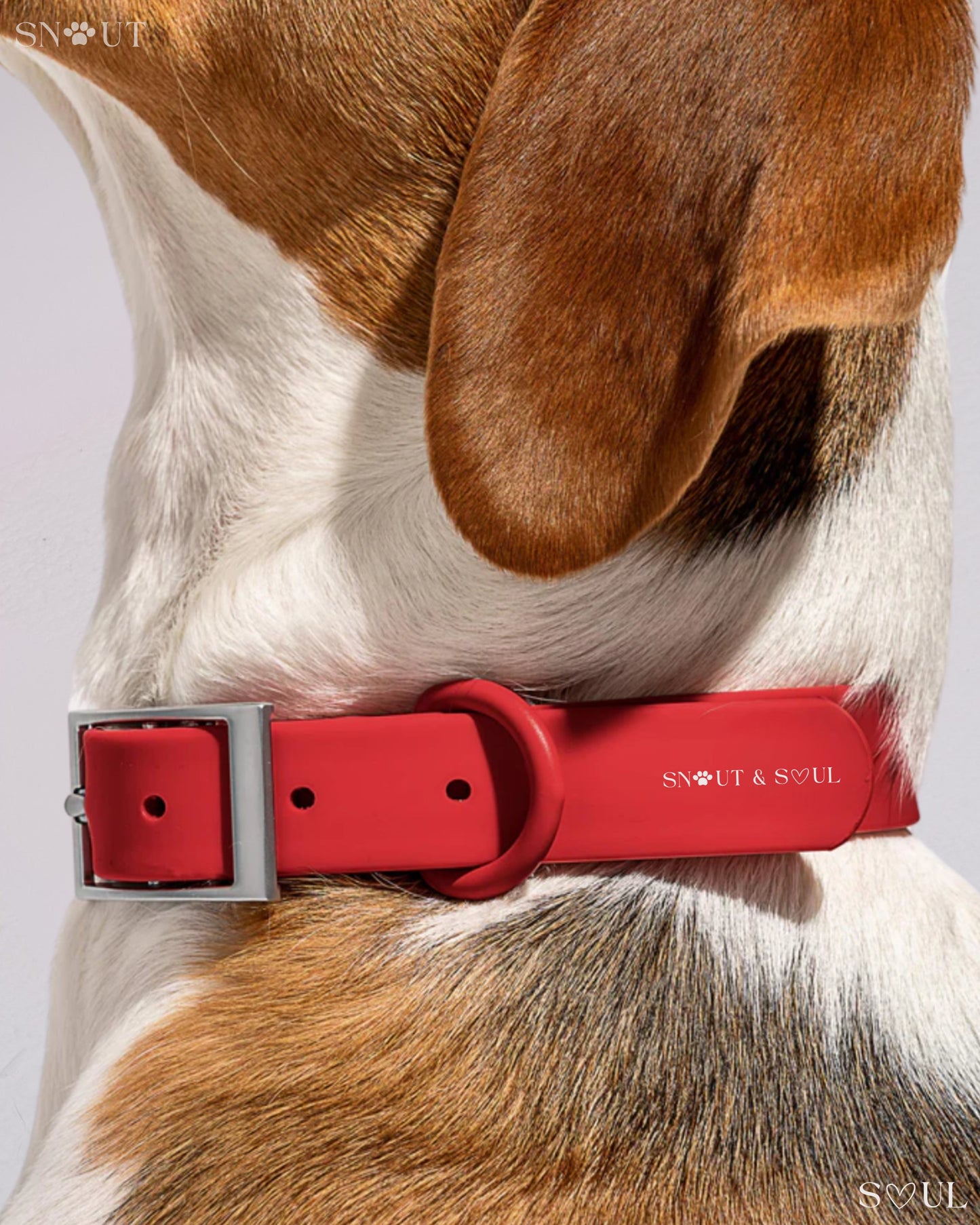 Collar