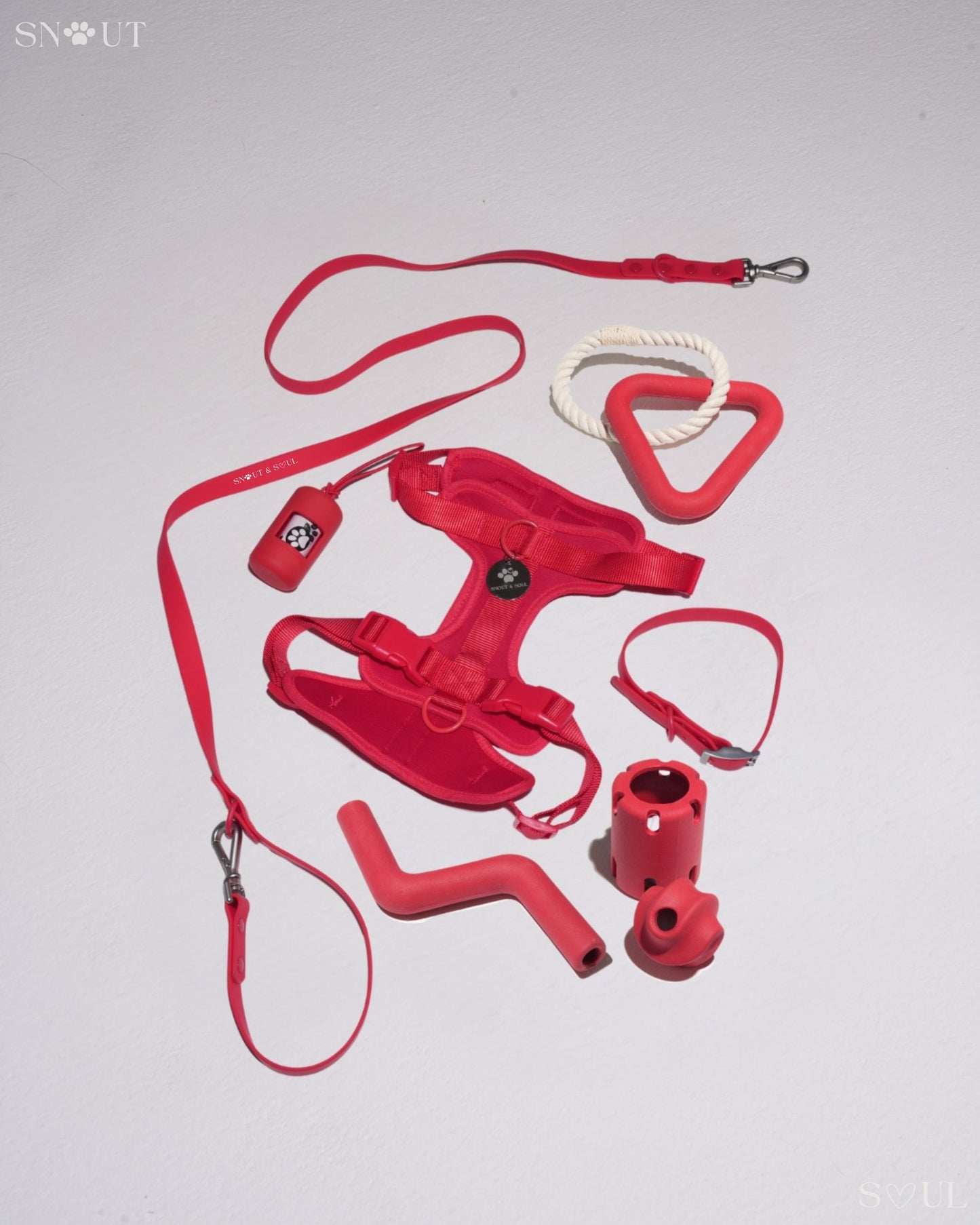 Walk & Play Set