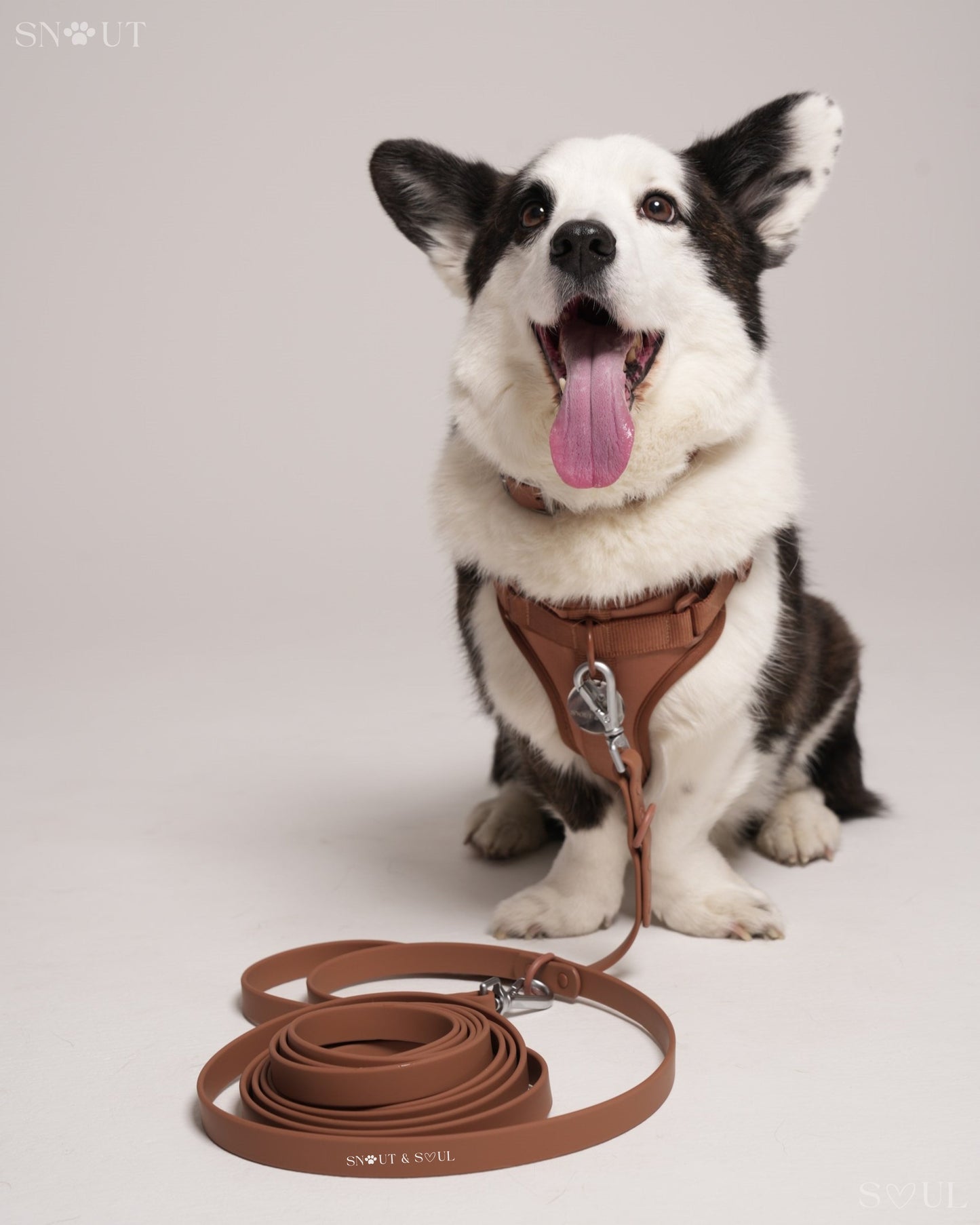 Long Leash