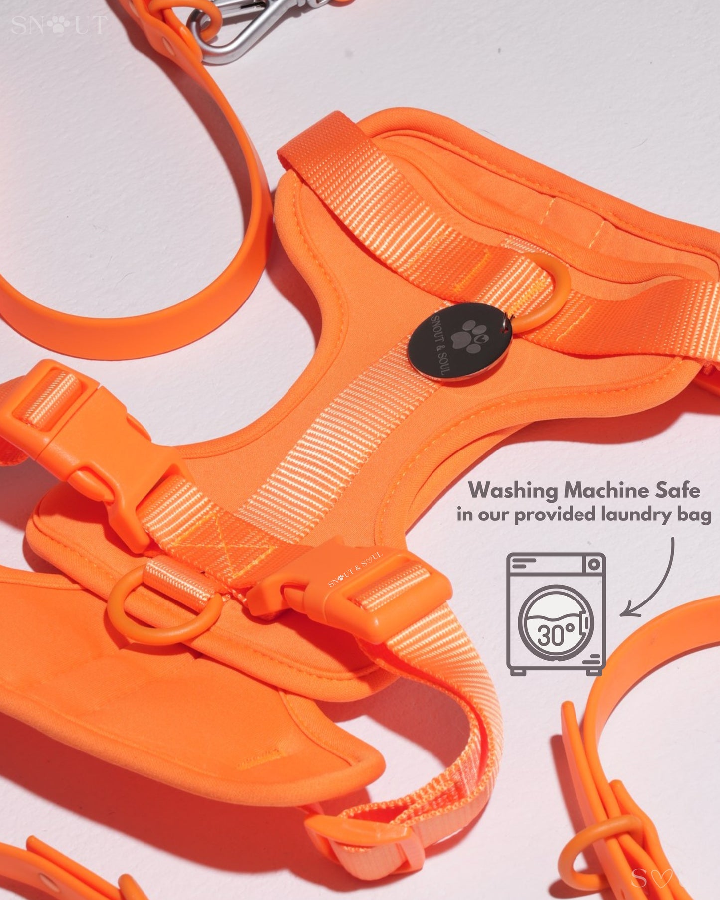 Harness