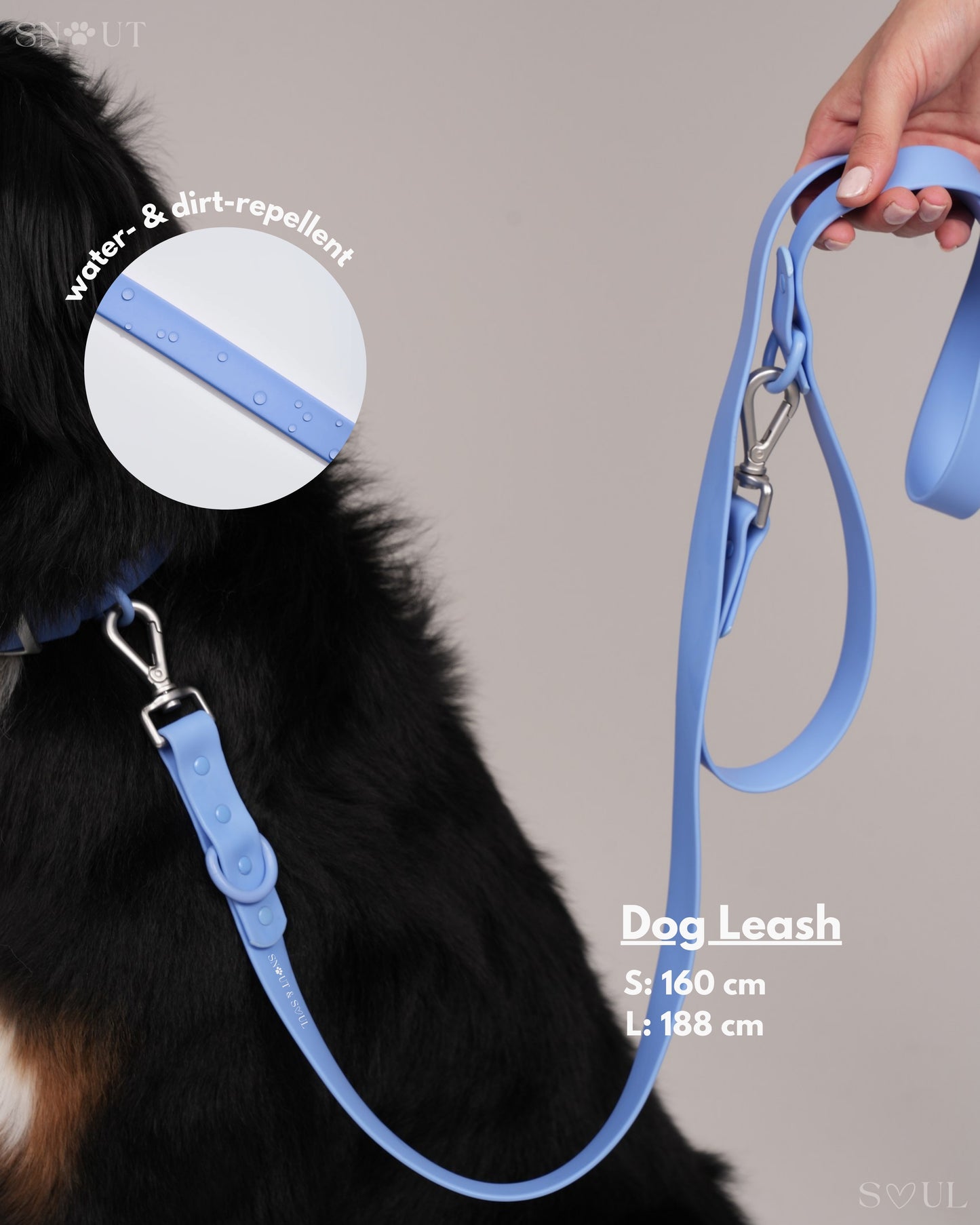 Leash