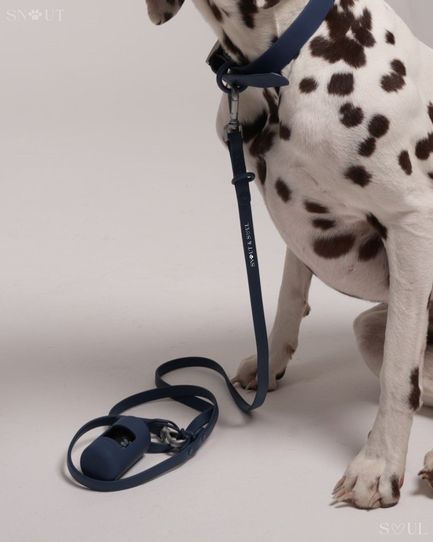 Leash