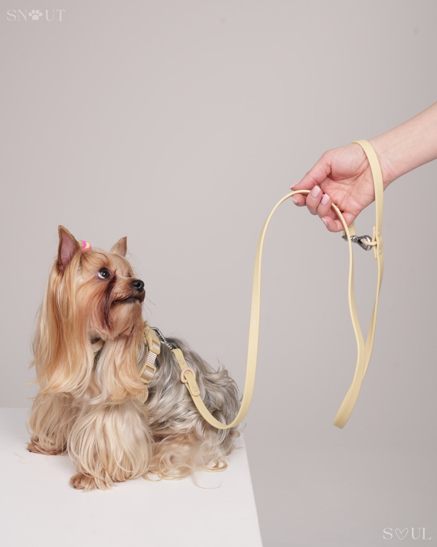 Leash