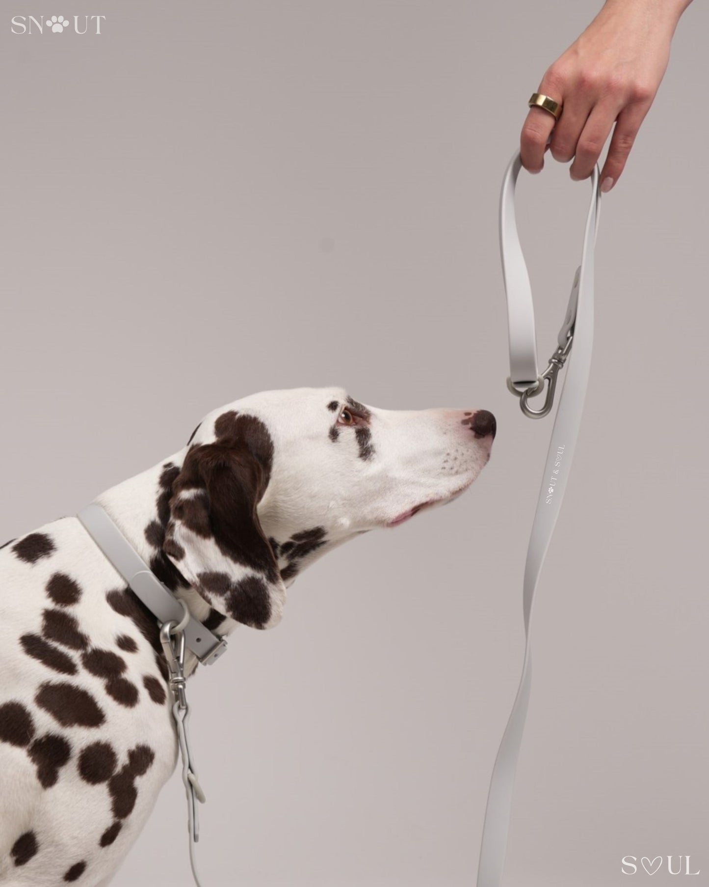 Leash