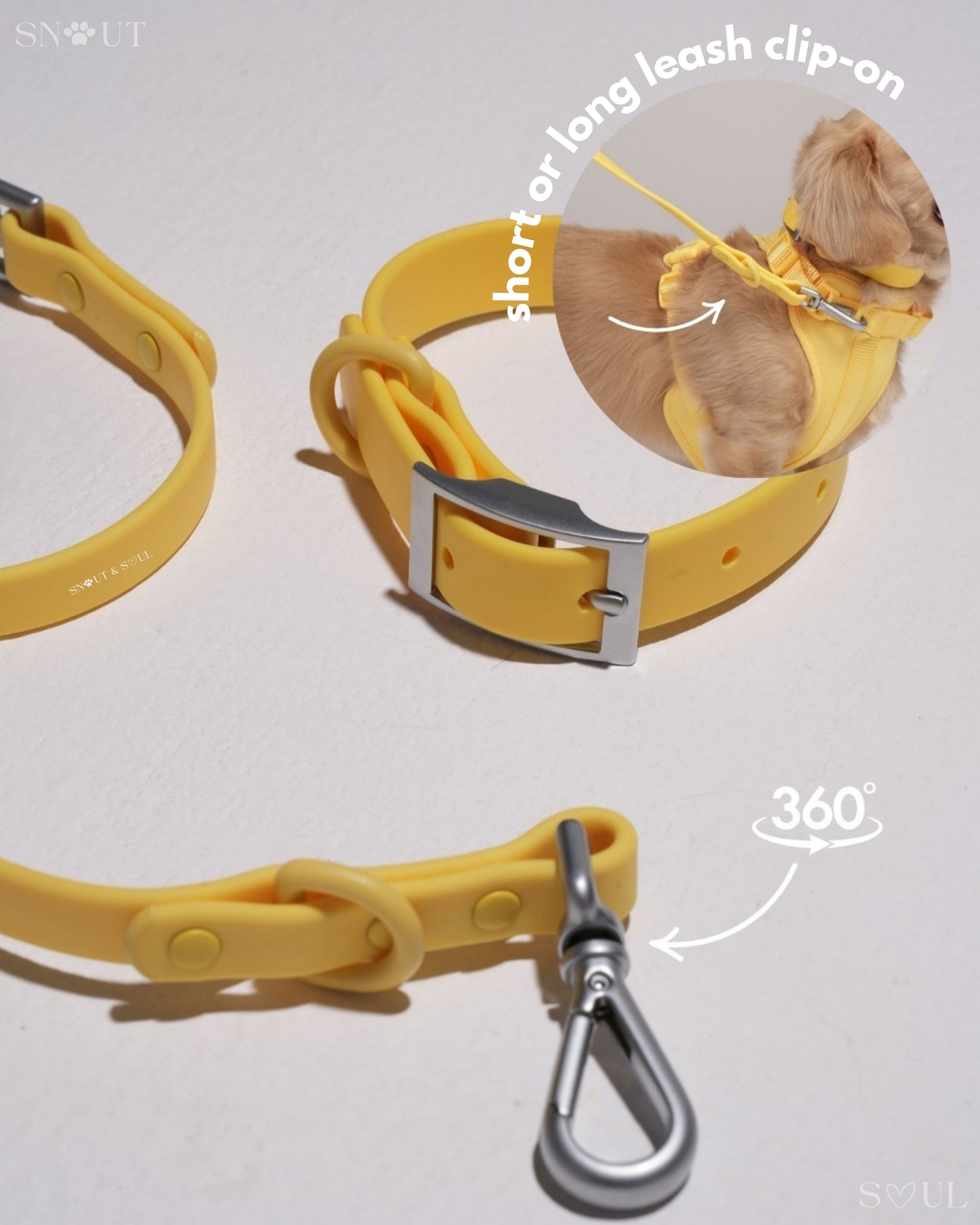 Leash
