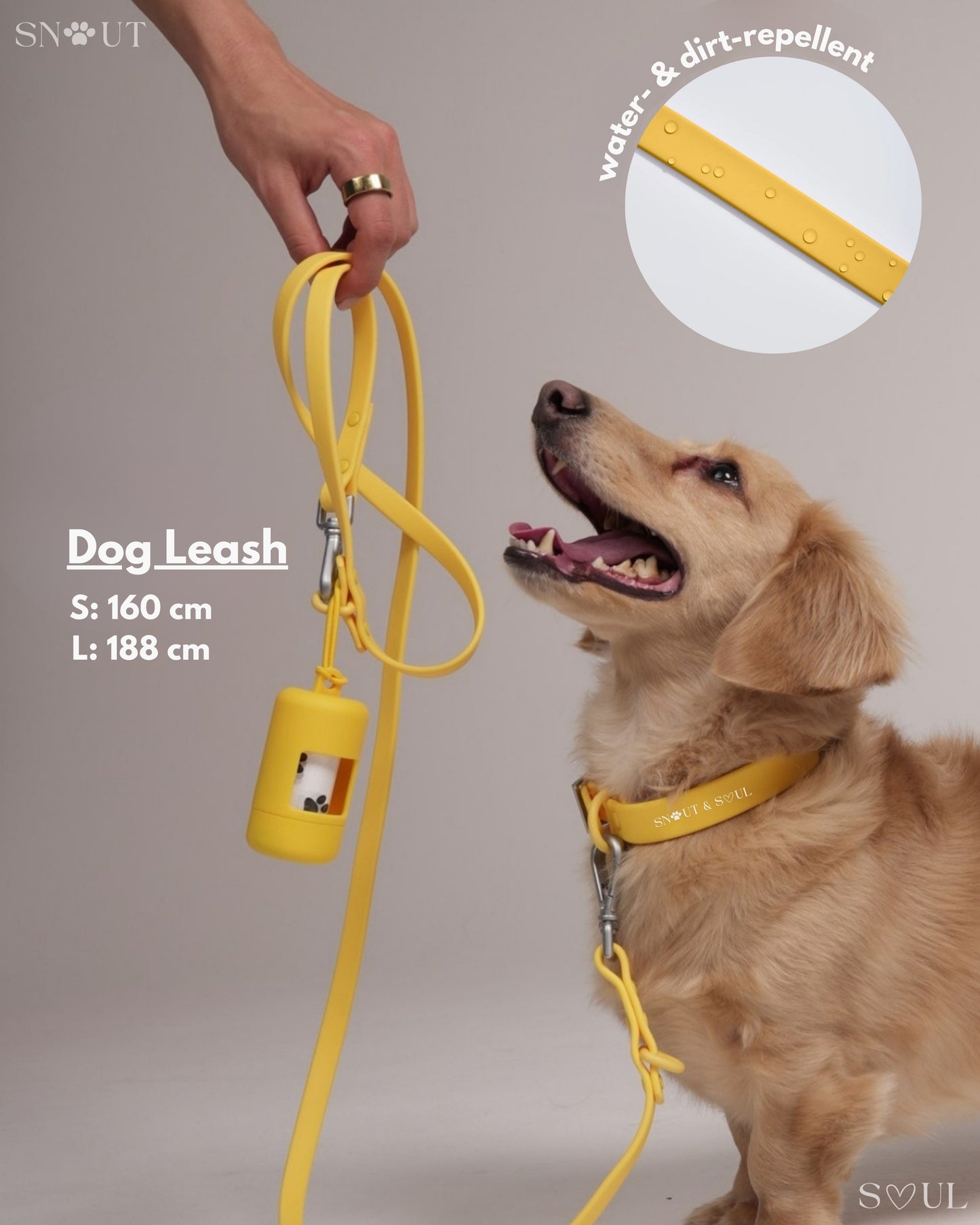 Leash