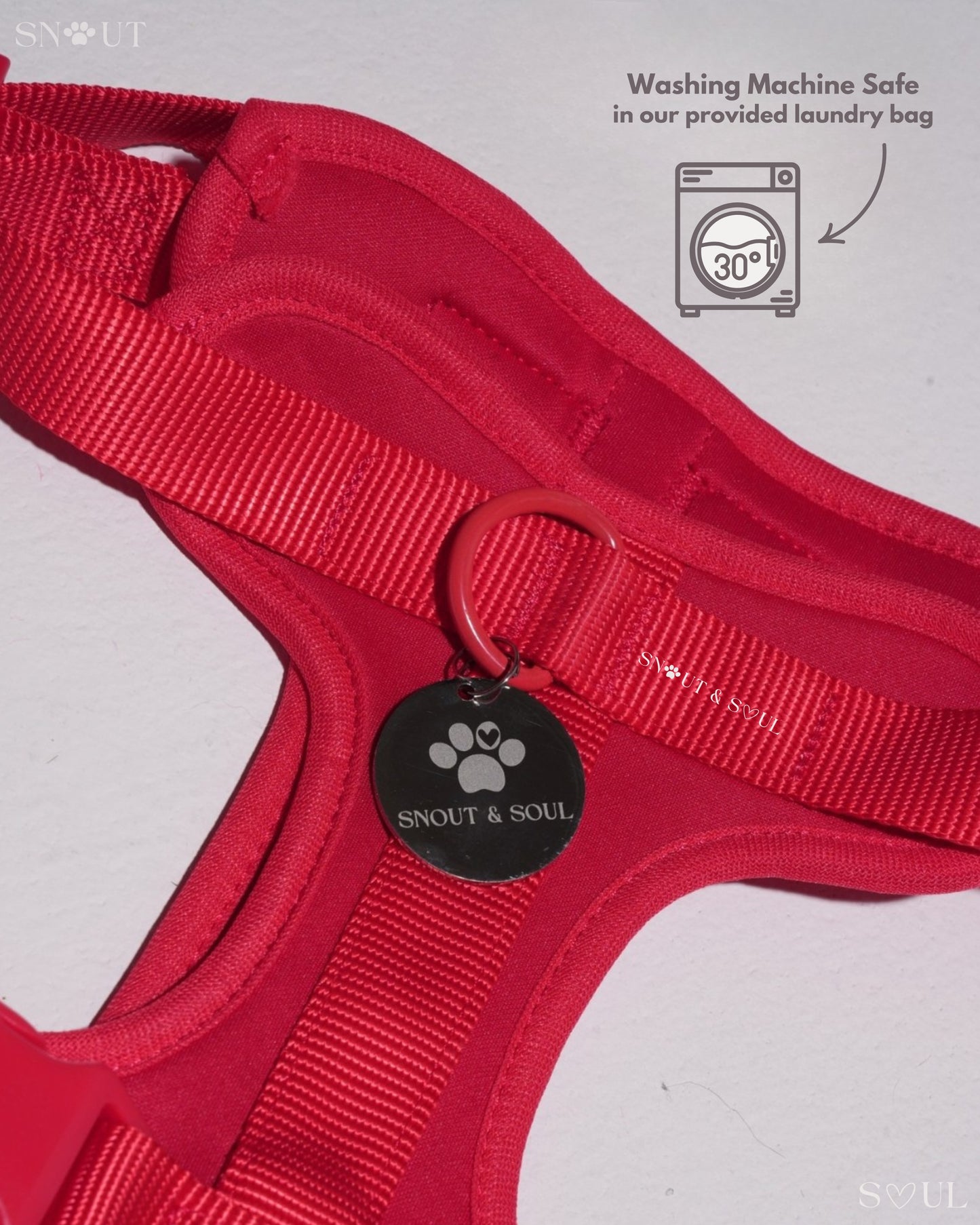 Harness