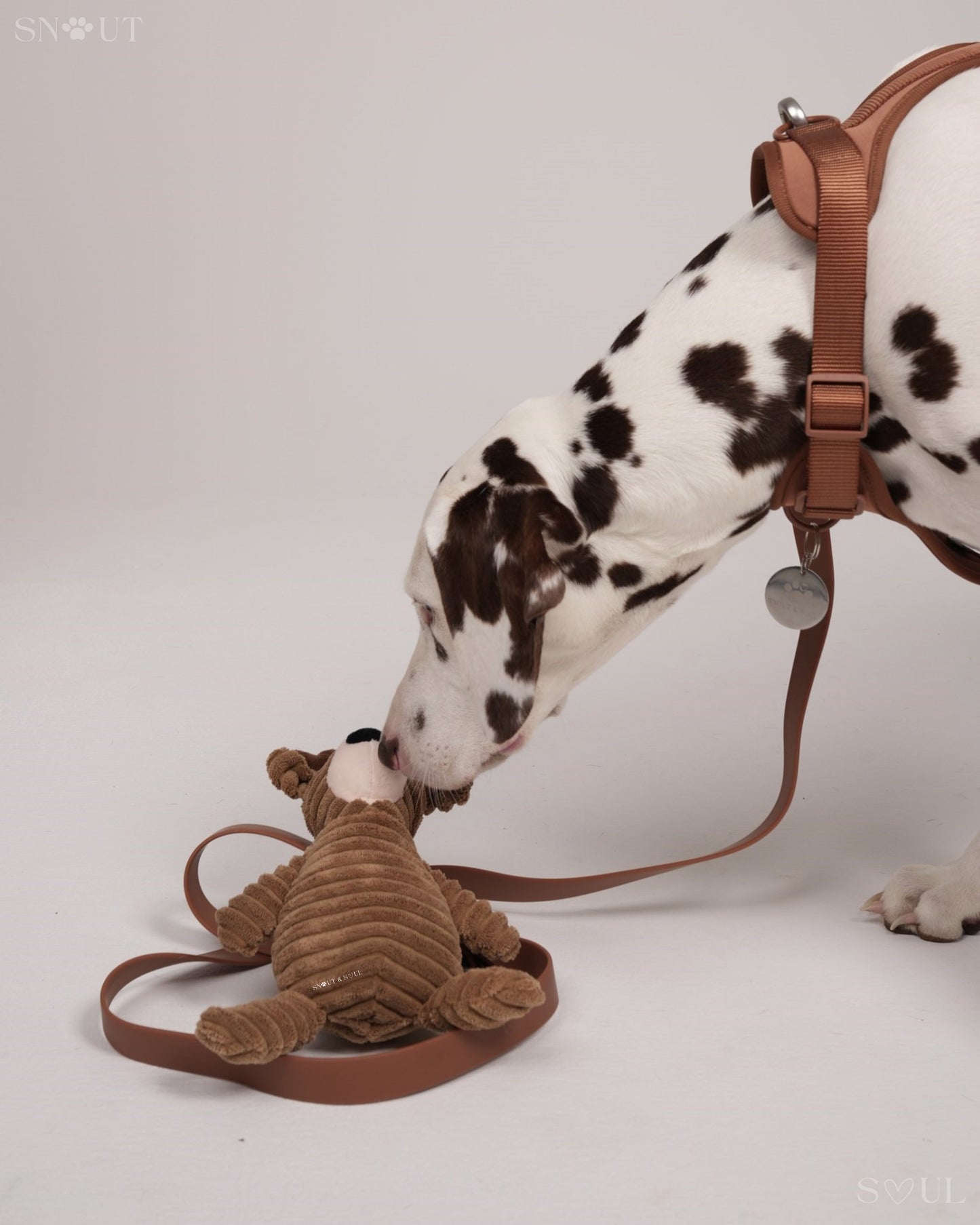 Cuddle Toy
