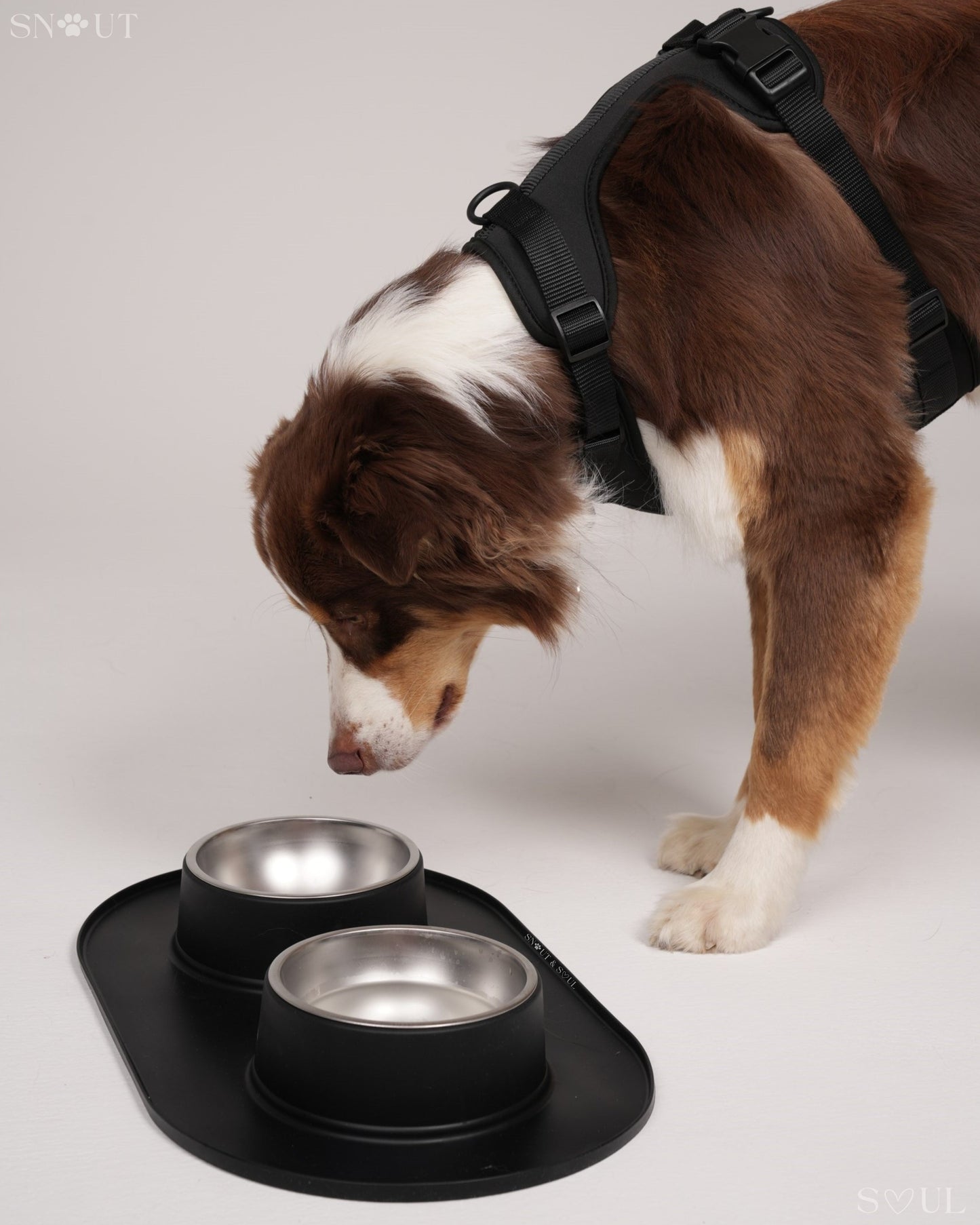 Duo Feeding Bowl