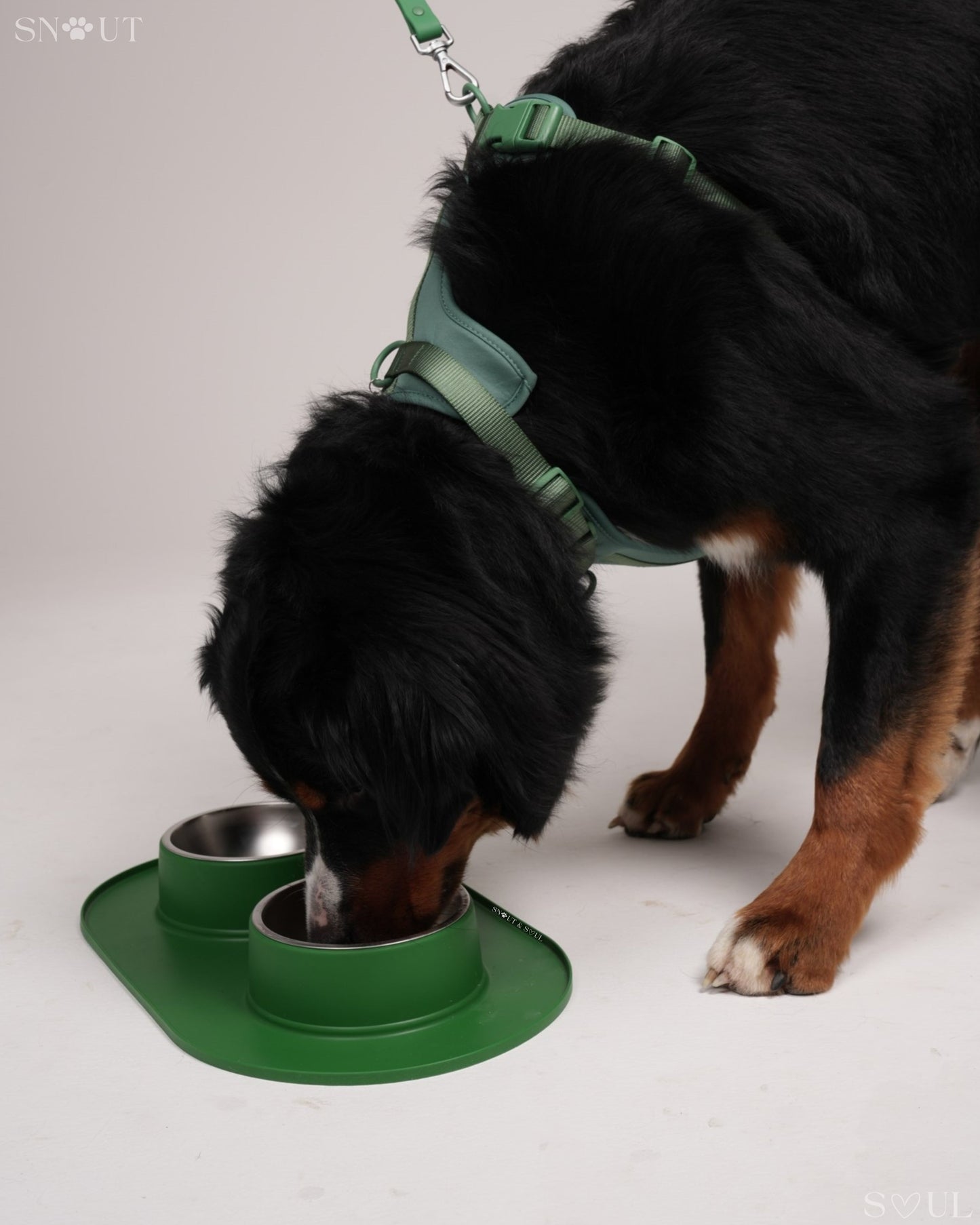 Duo Feeding Bowl