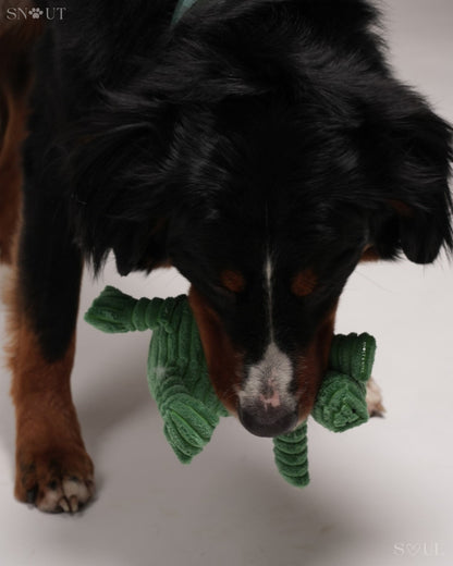 Cuddle Toy