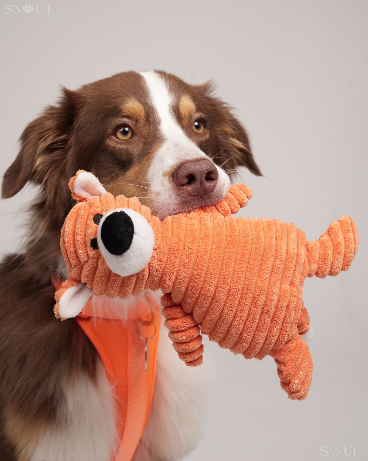 Cuddle Toy