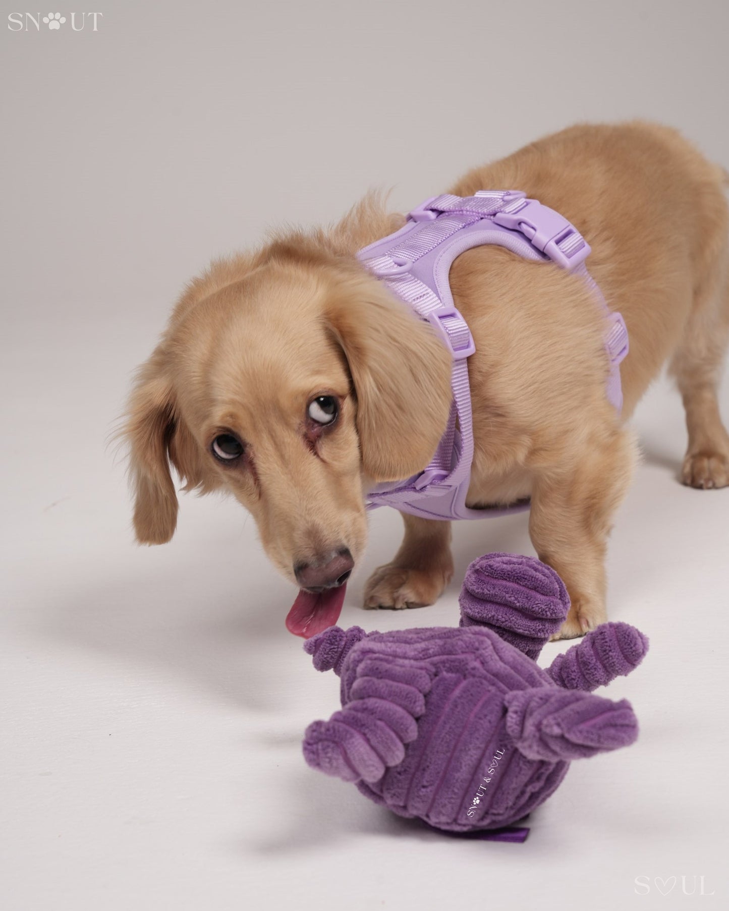Cuddle Toy