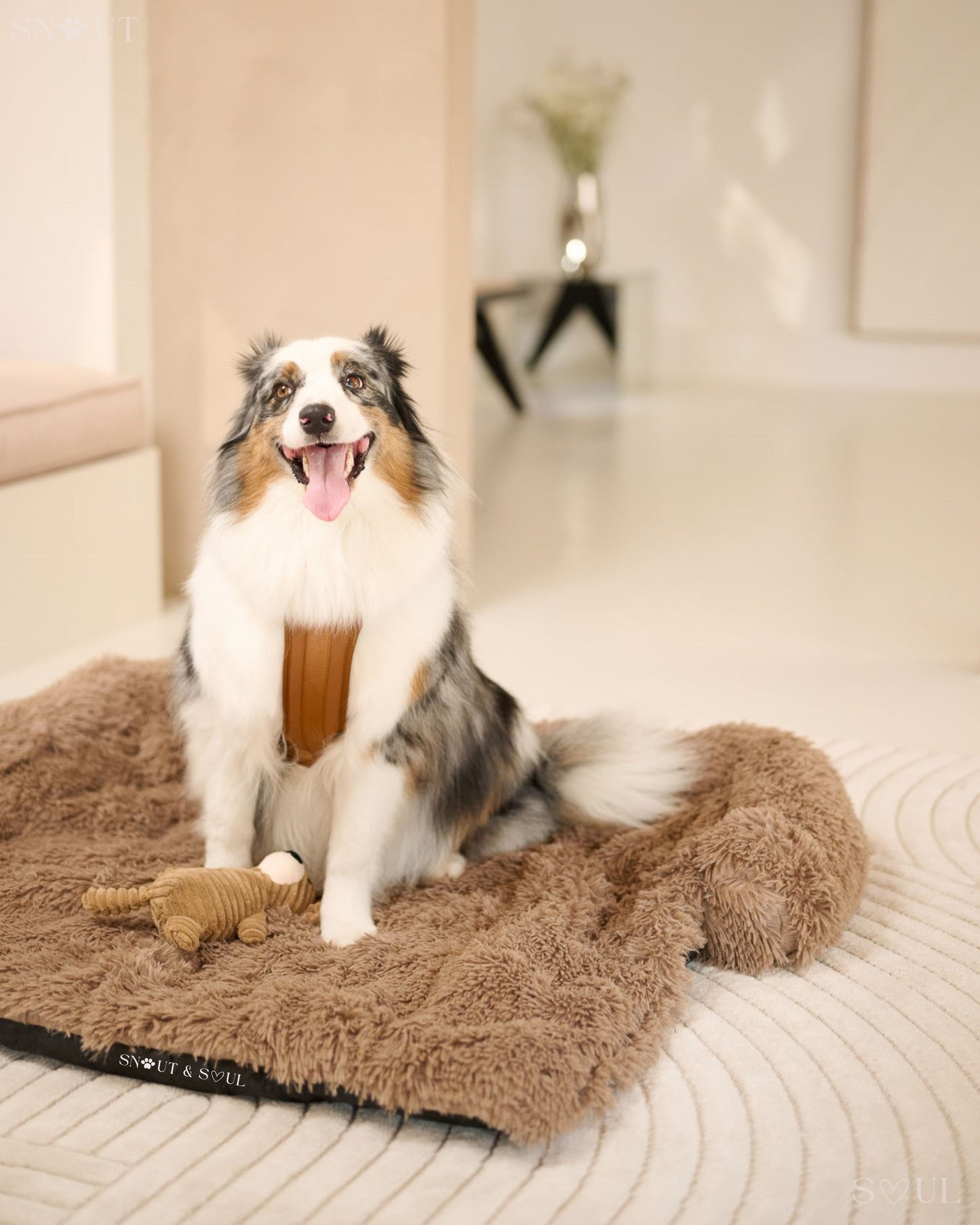 Luxury Soft Dog Blanket