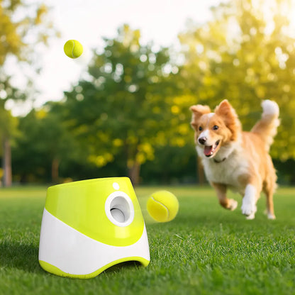 Automatic Dog Ball Thrower