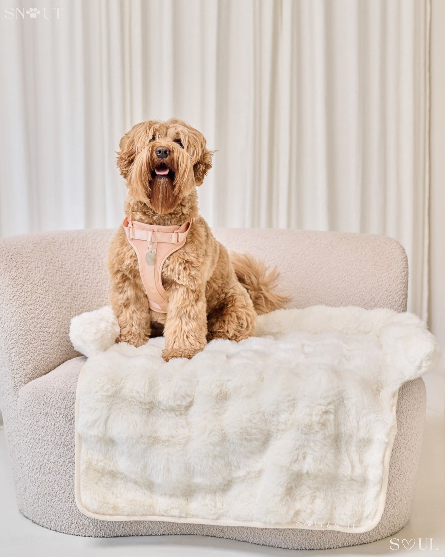 Luxury Soft Dog Blanket