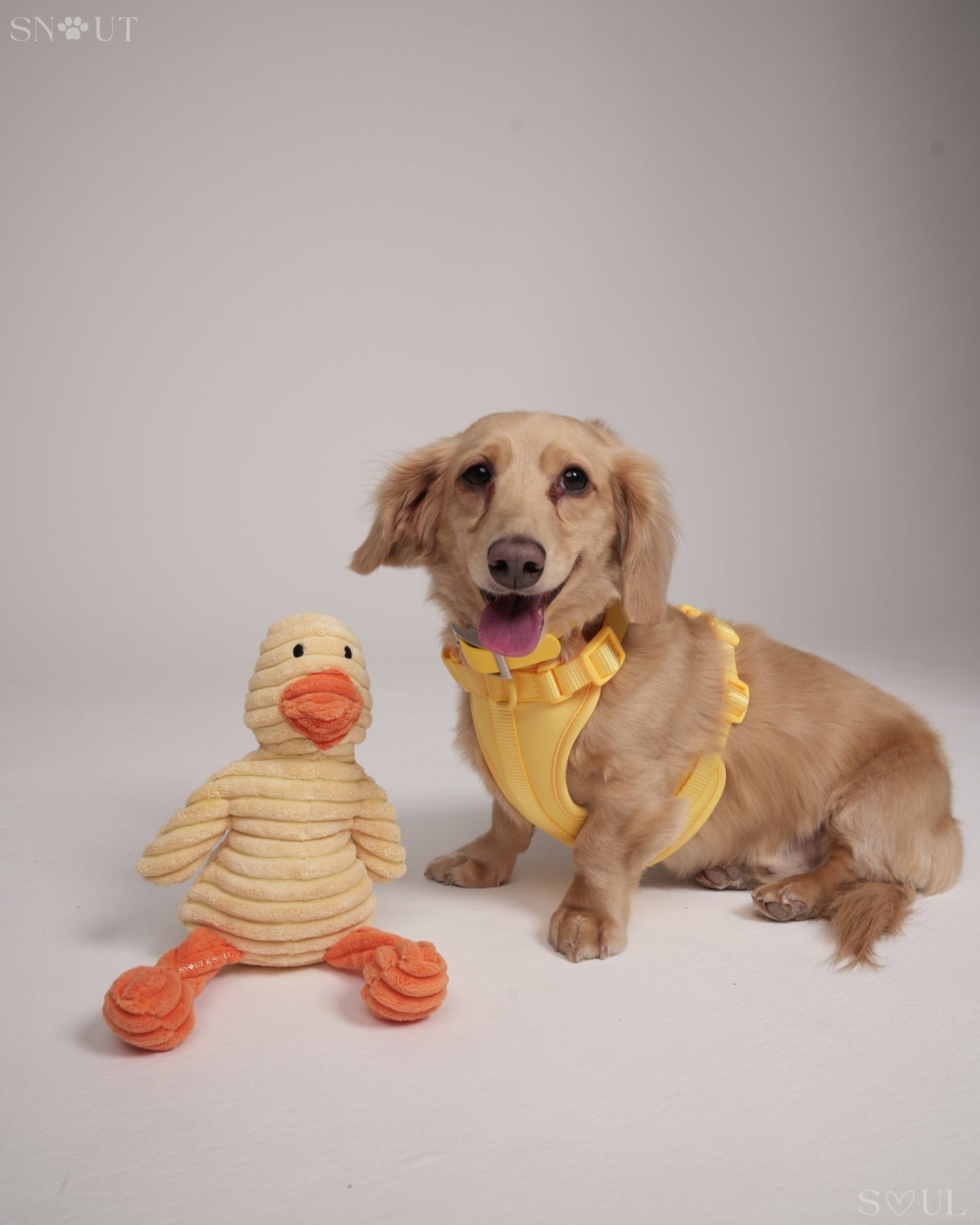 Cuddle Toy