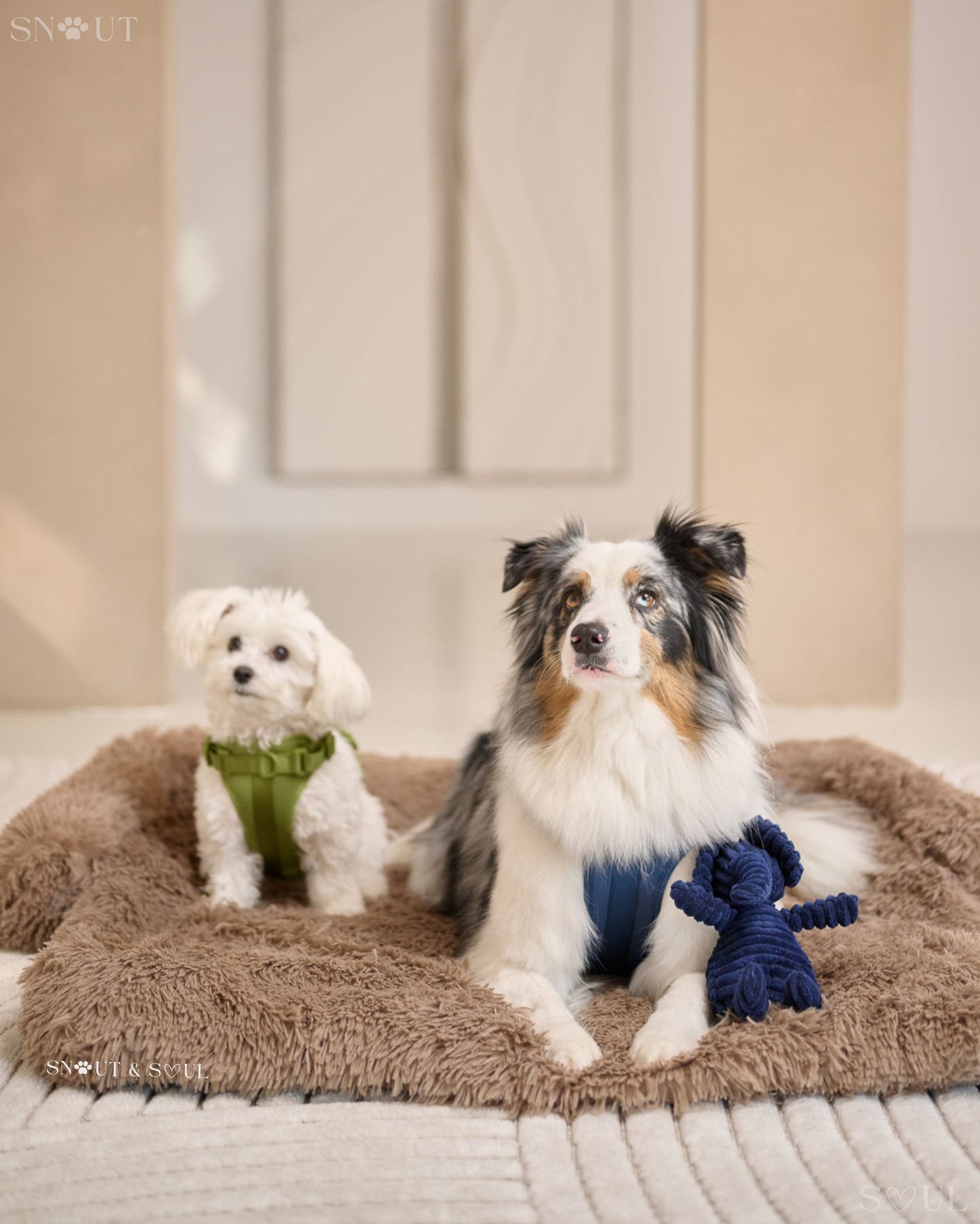 Luxury Soft Dog Blanket