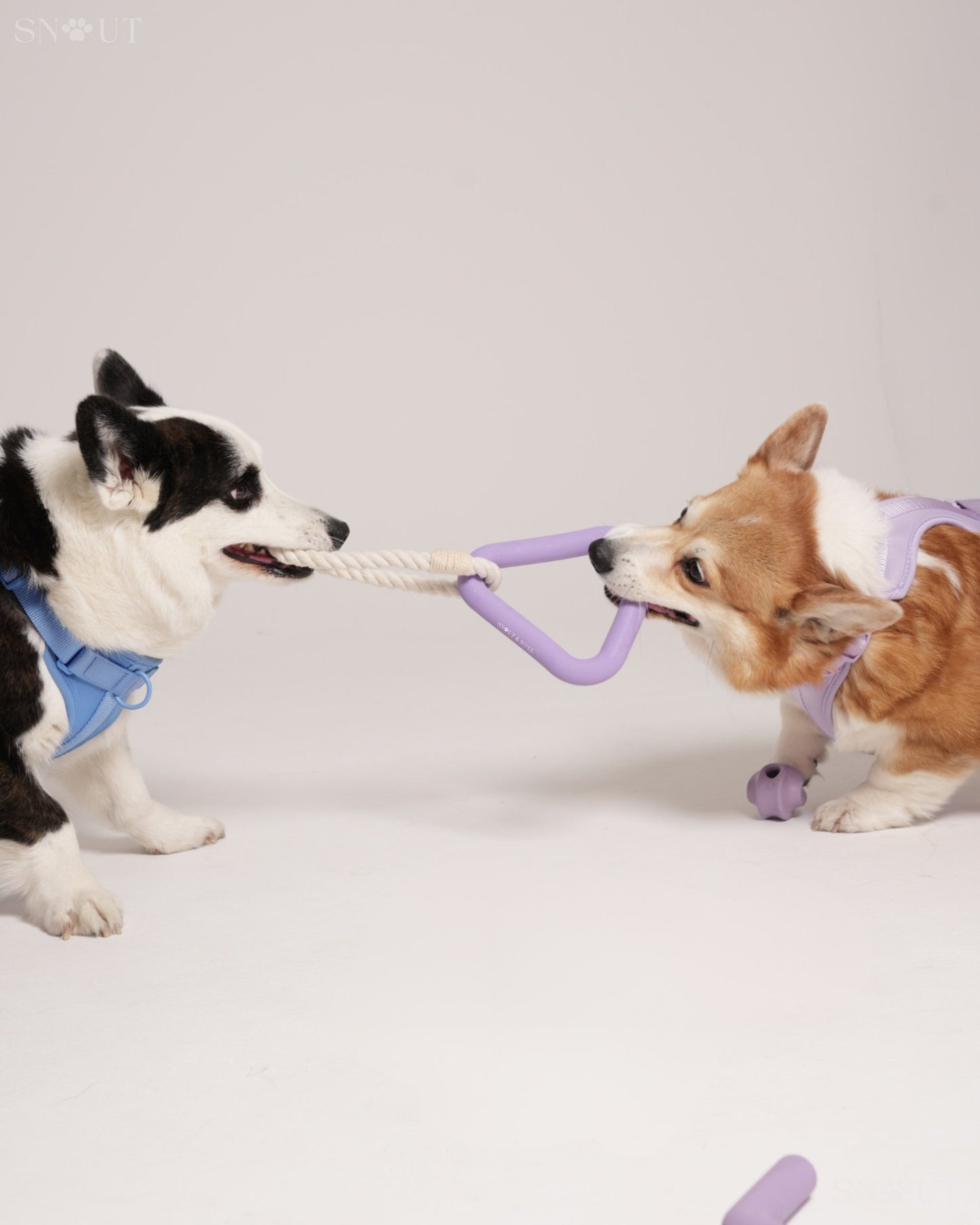 Walk & Play Set
