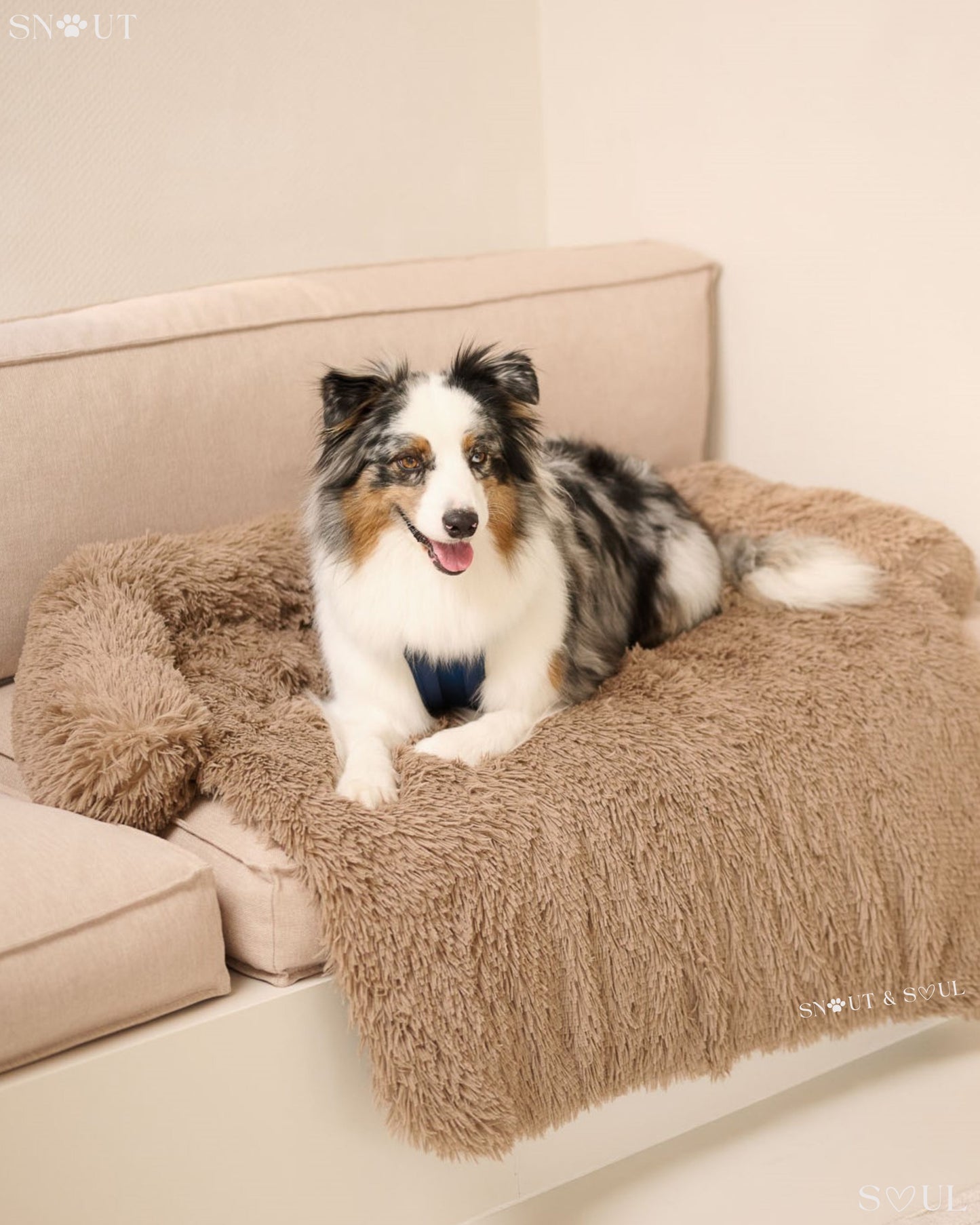 Luxury Soft Dog Blanket