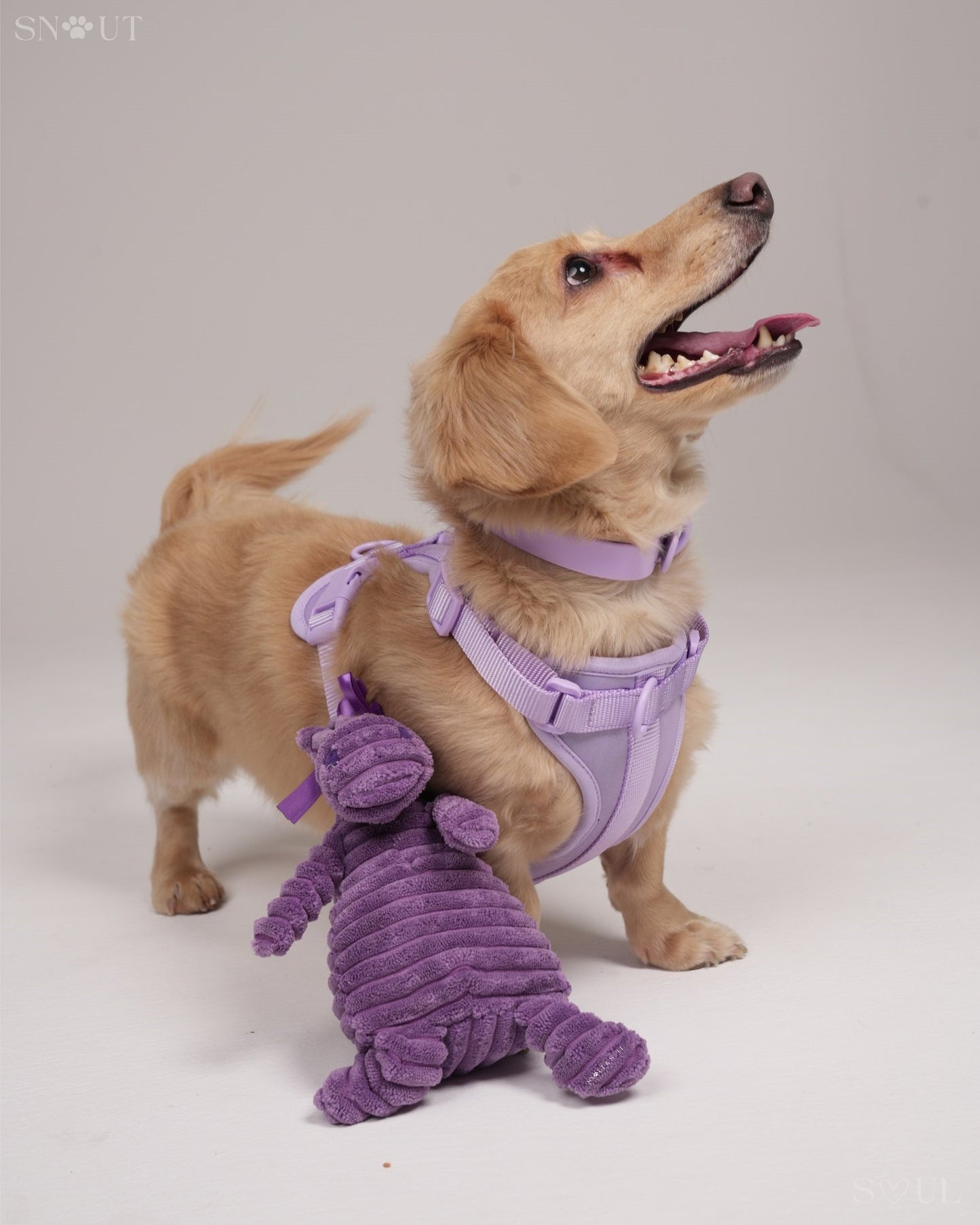 Cuddle Toy