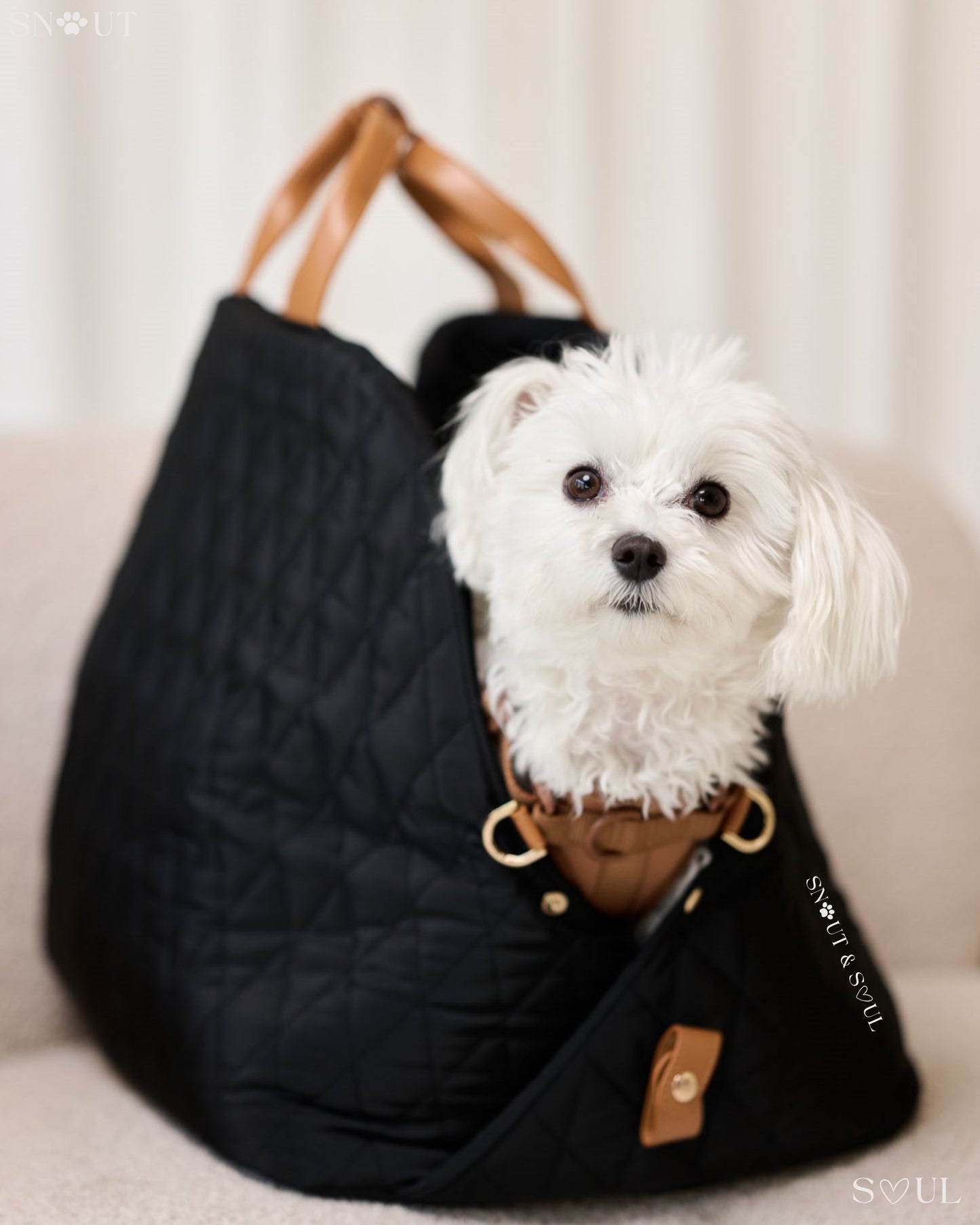 2-in-1 Honden Draagtas