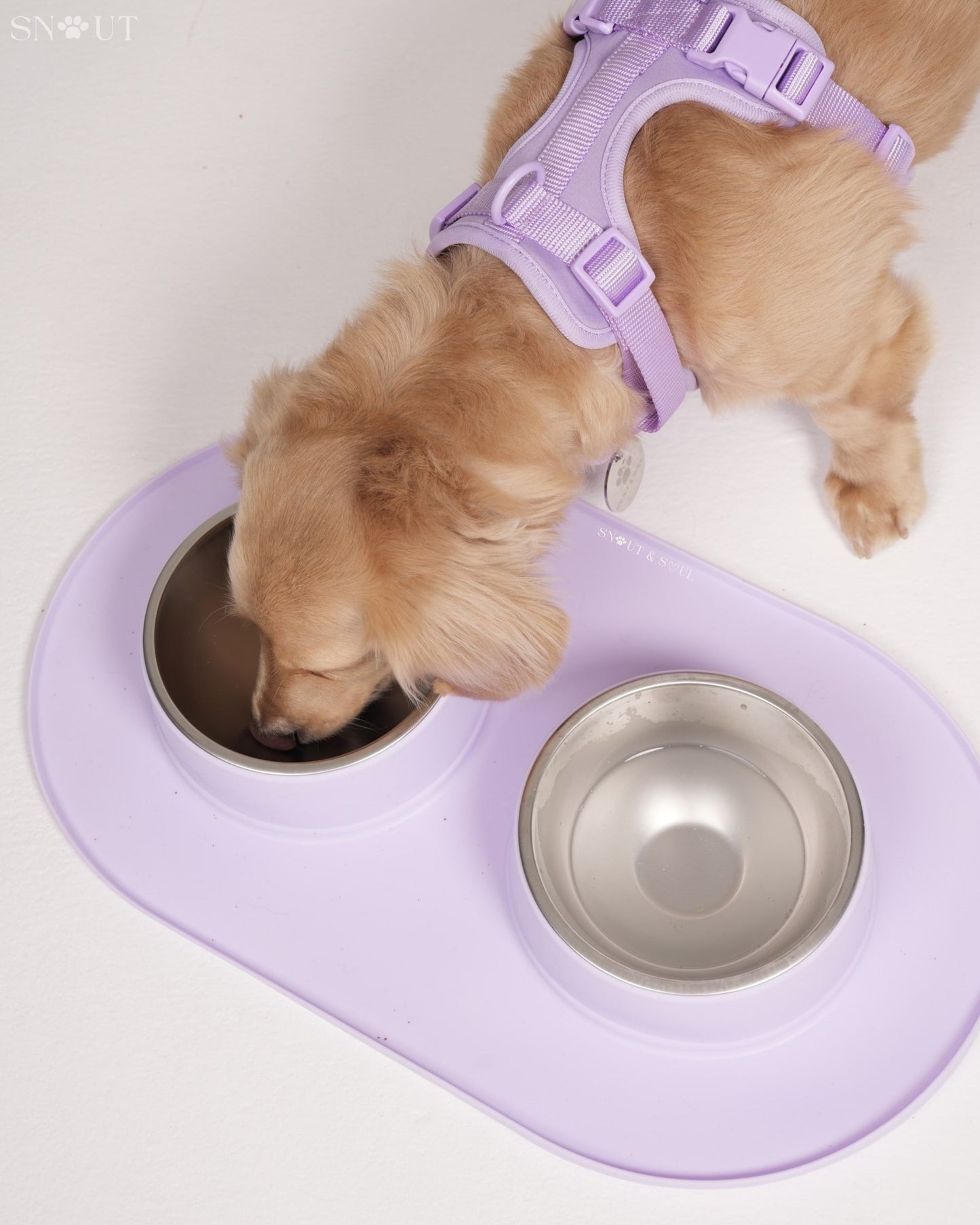 Duo Feeding Bowl