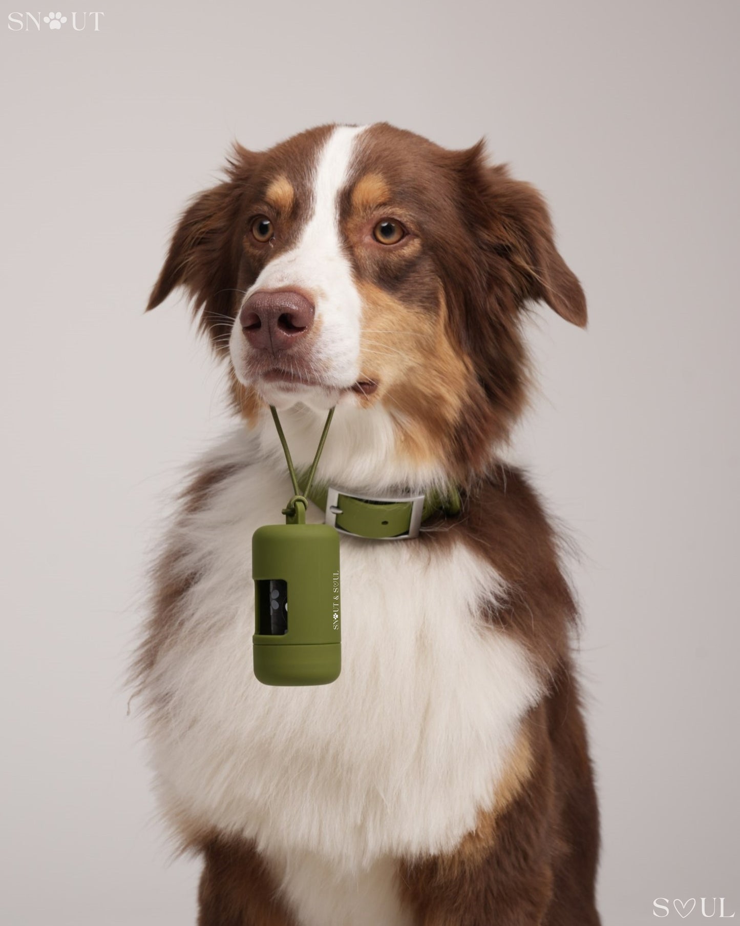 Poop Bag Holder