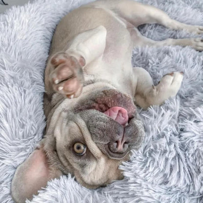 Calming Fluffy Round Dog Bed