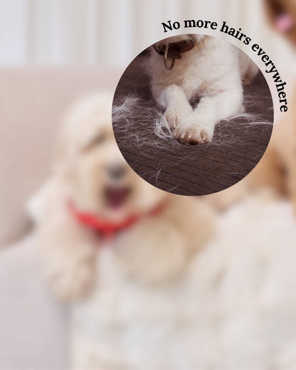 Soft Luxury Sofa Blanket