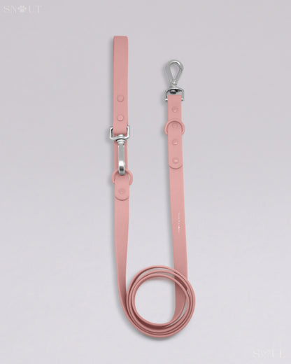 Leash