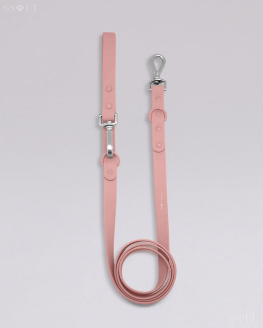 Dog Leash