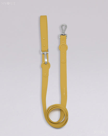 Leash