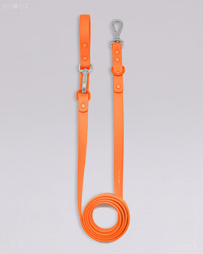 Leash