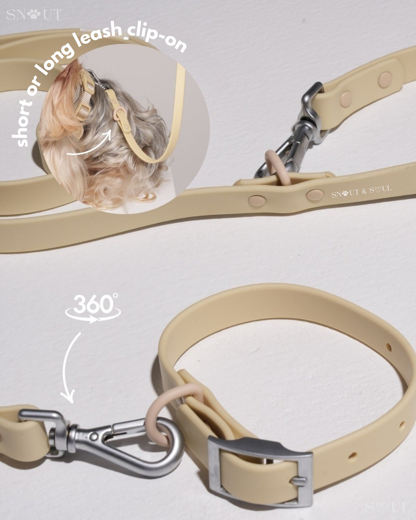 Leash